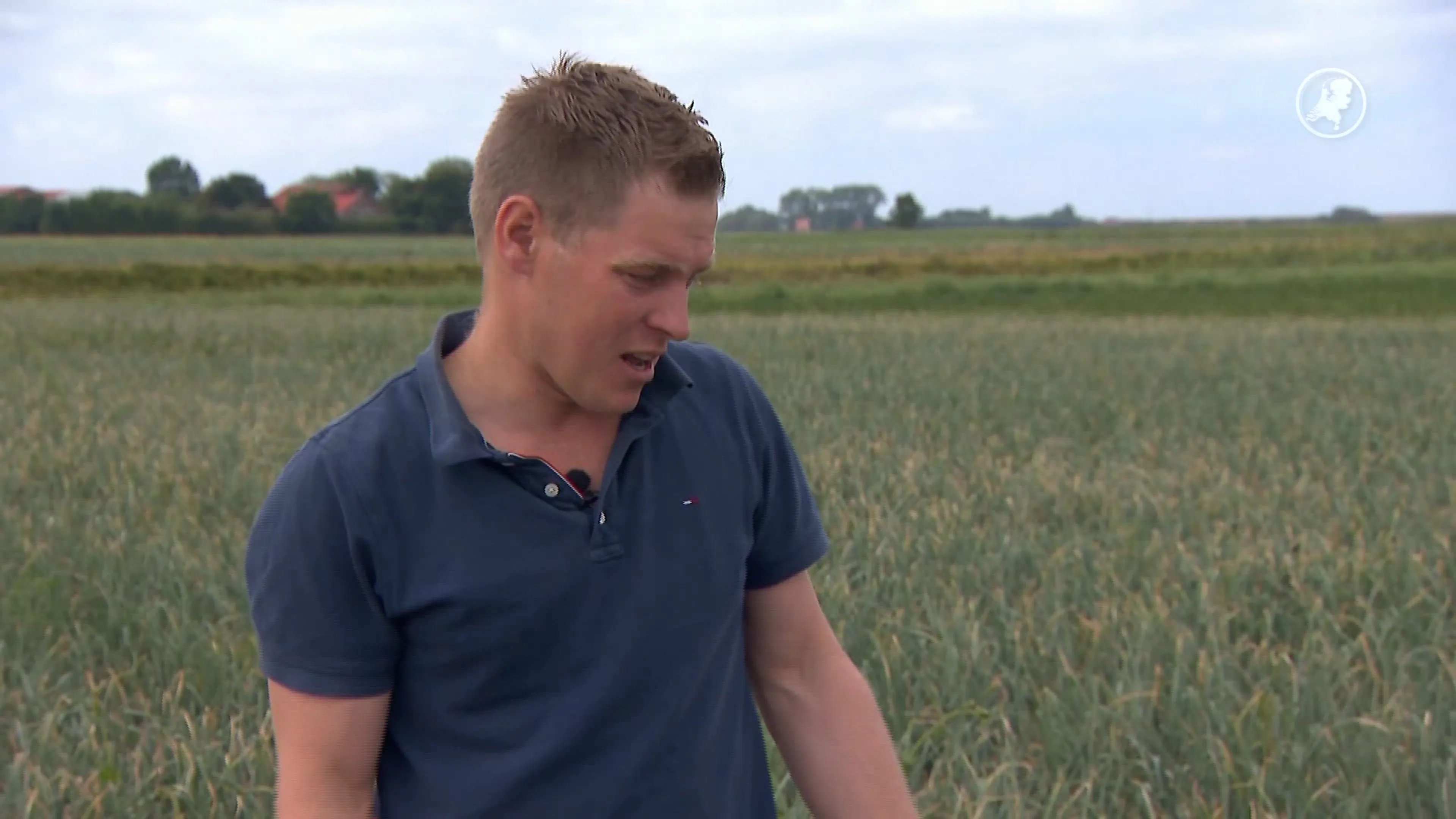 Regen meer dan nodig: Boer Geert ziet oogst verloren gaan