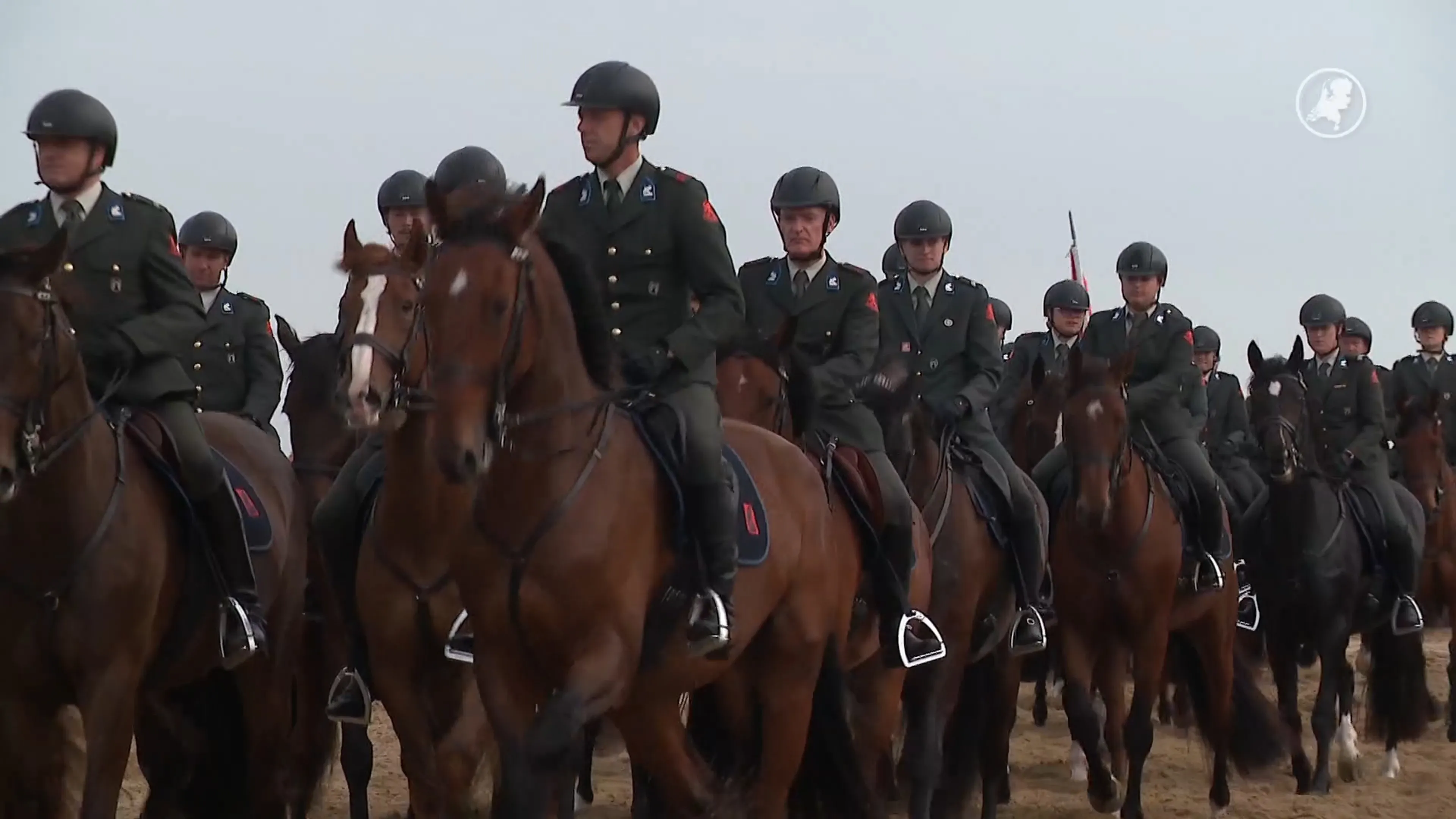 Paarden van het koningspaar maken zich klaar voor Prinsjesdag