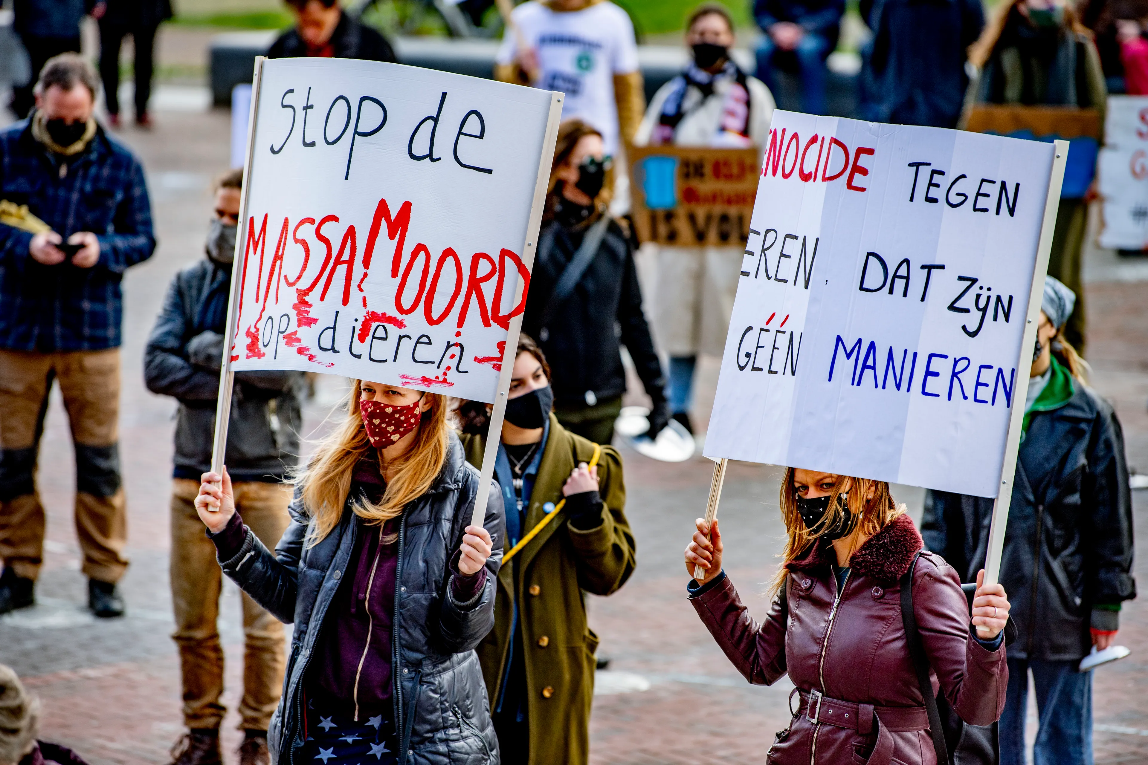 Man (24) wilde mensen neerschieten bij klimaatprotest bij Jaarbeurs in Utrecht