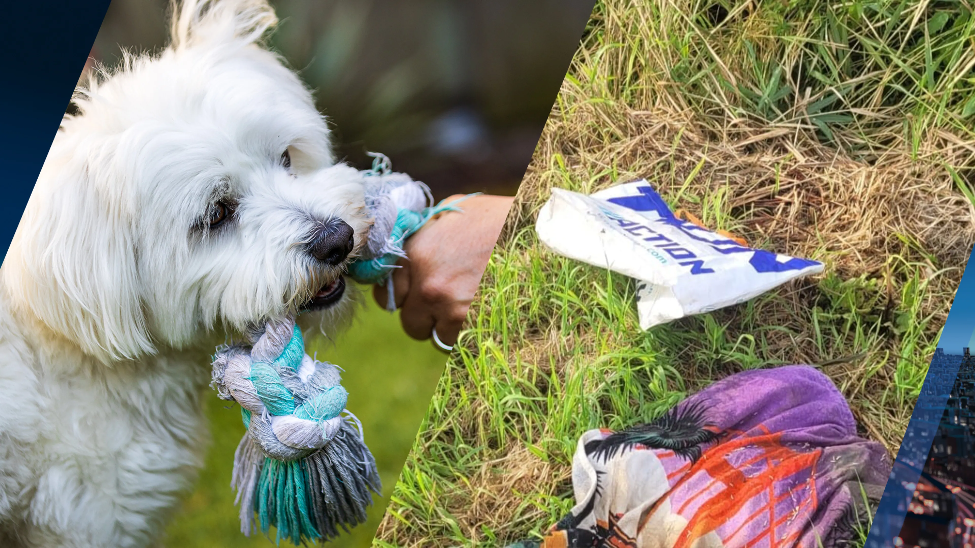 Dode hond gevonden in Action-tas tussen het riet in Utrecht
