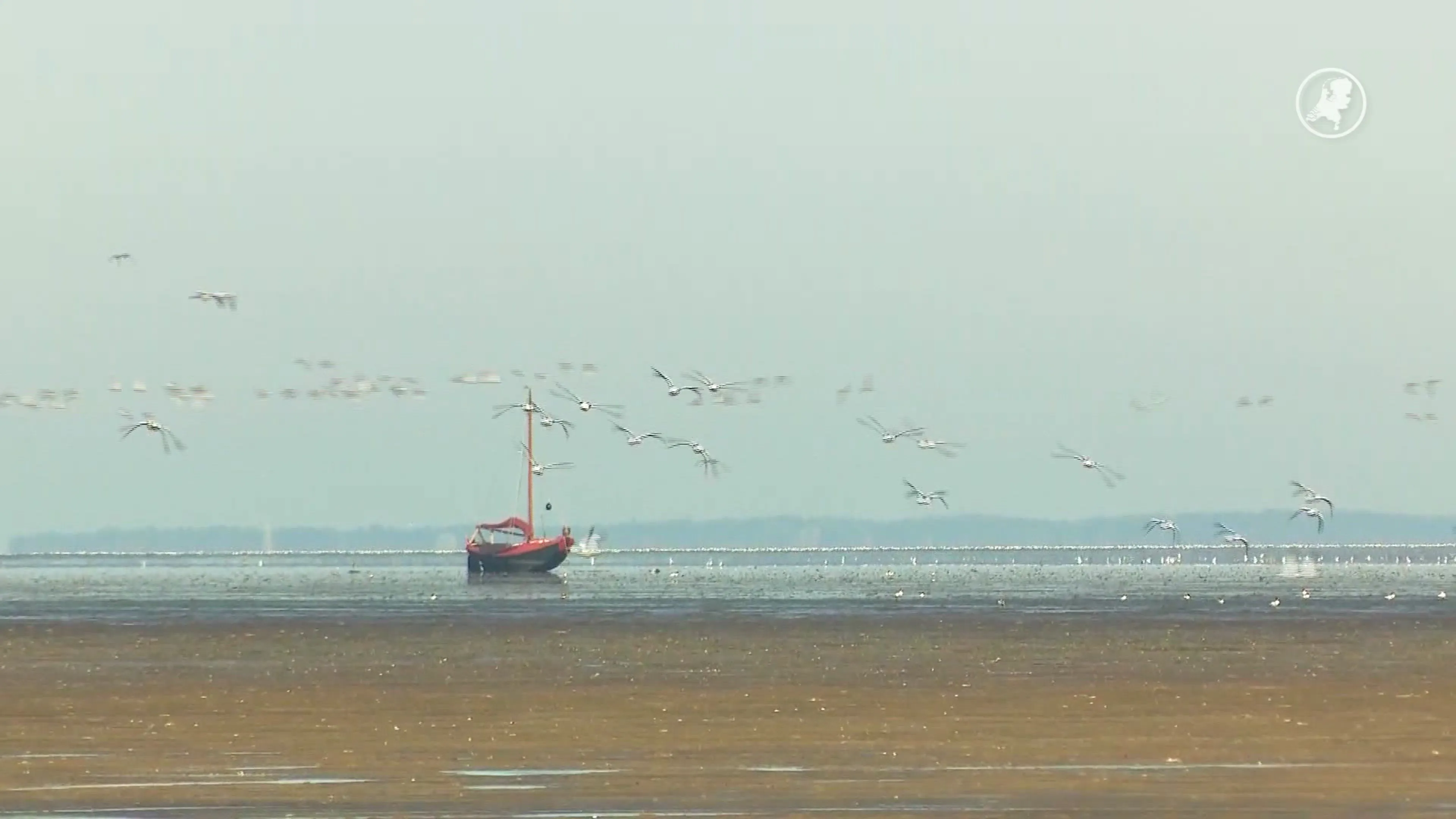 Bewoners bij Waddenzee willen werelderfgoed behouden: zorgen om zoutwinning
