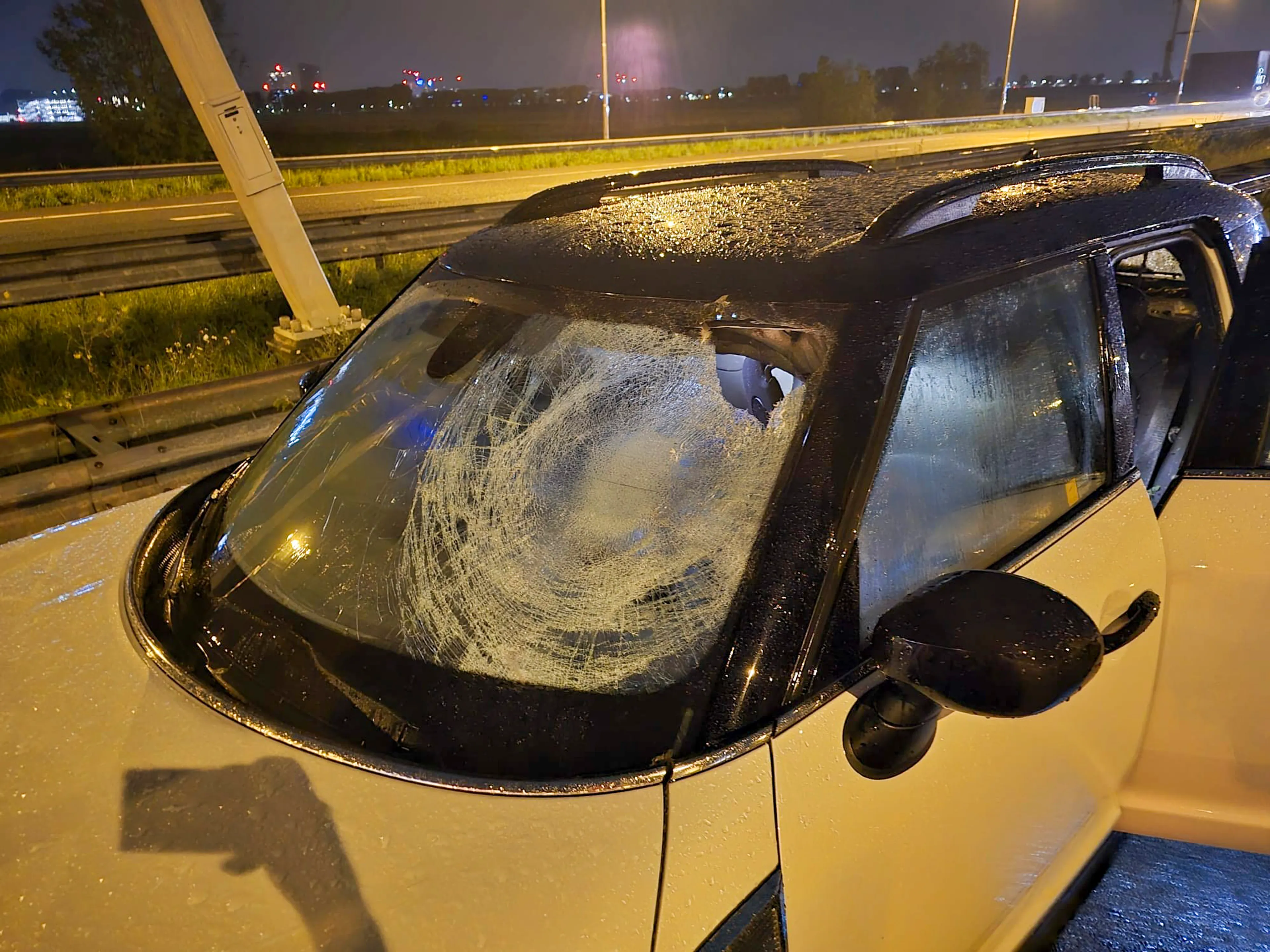 Gans vliegt door voorruit auto op A4 bij Hoofddorp, vrouw raakt gewond