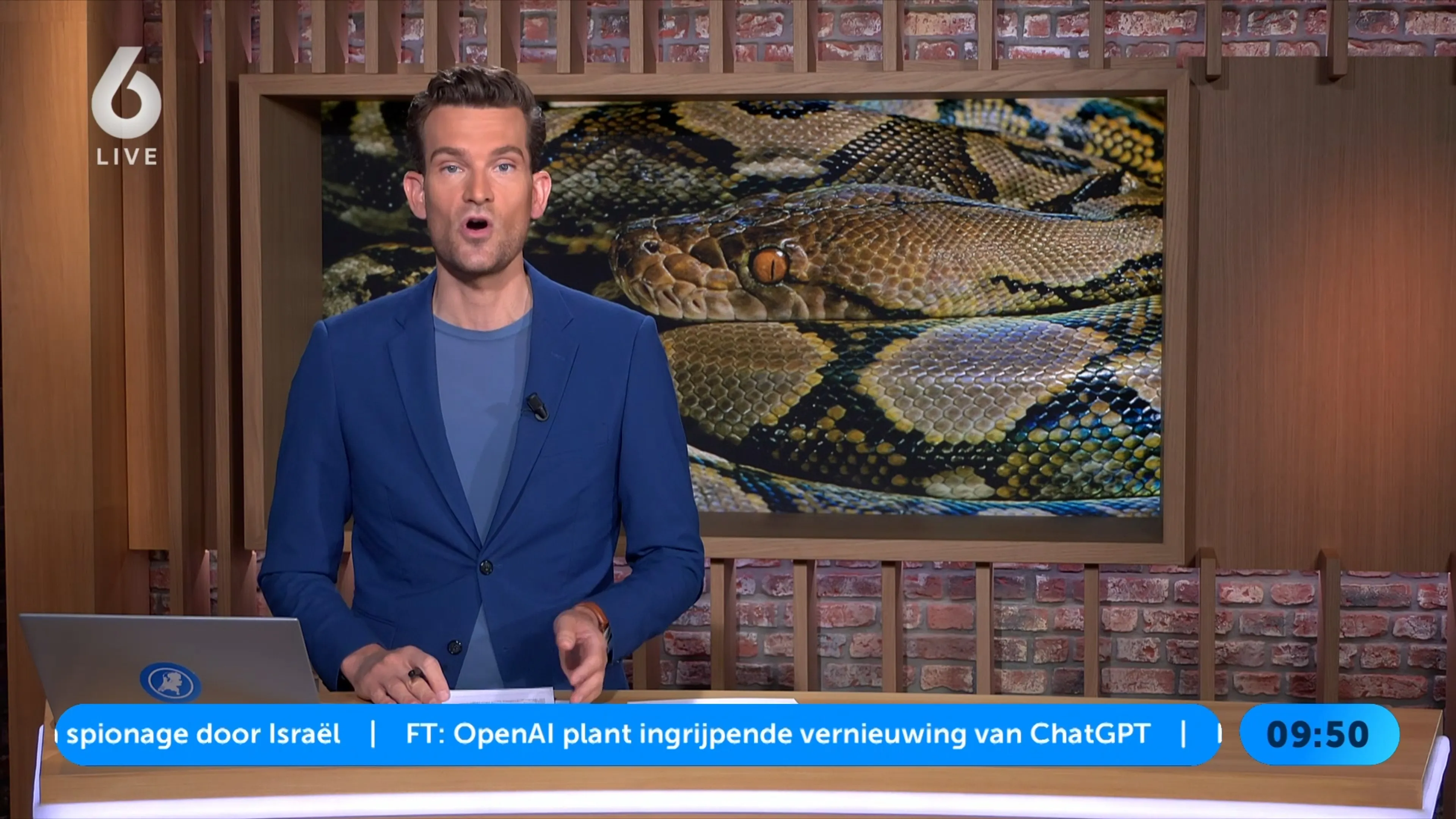 Doos bij kringloop blijkt levende slang van anderhalve meter te bevatten