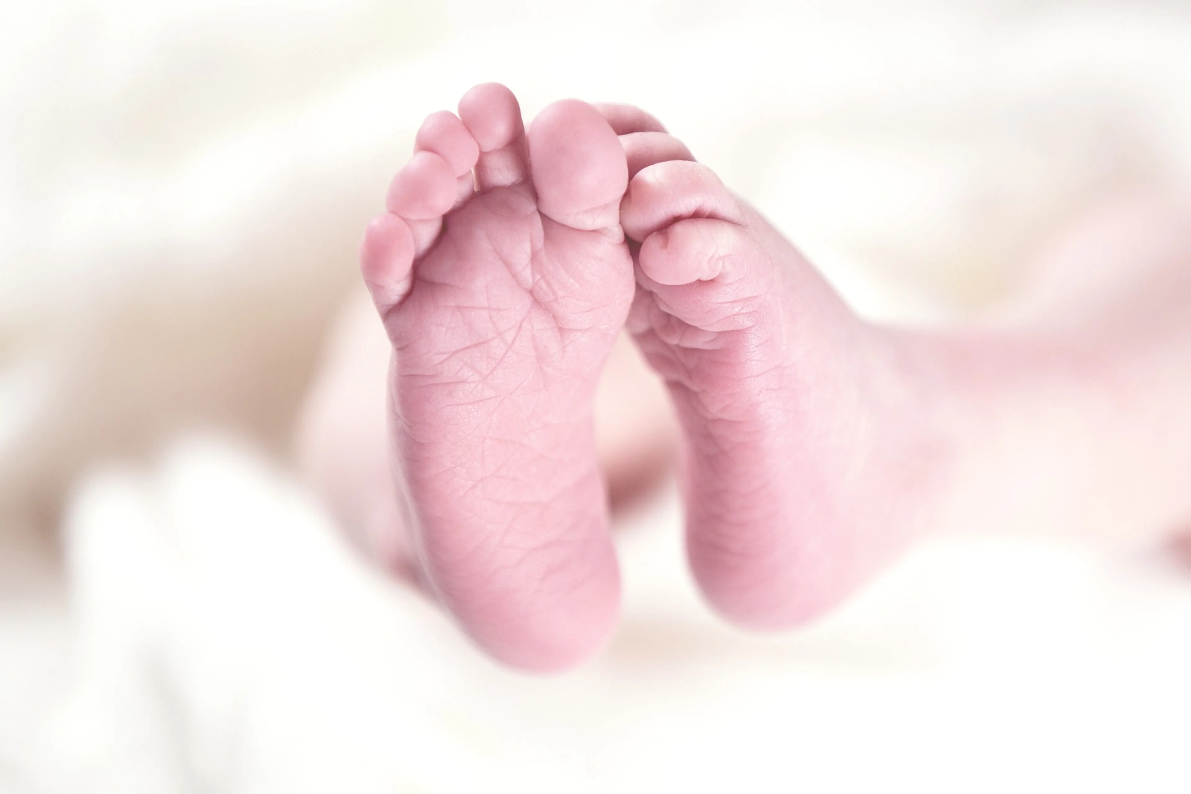 NVWA verlaagt grens babyvoeding na zorgen om giftige stof
