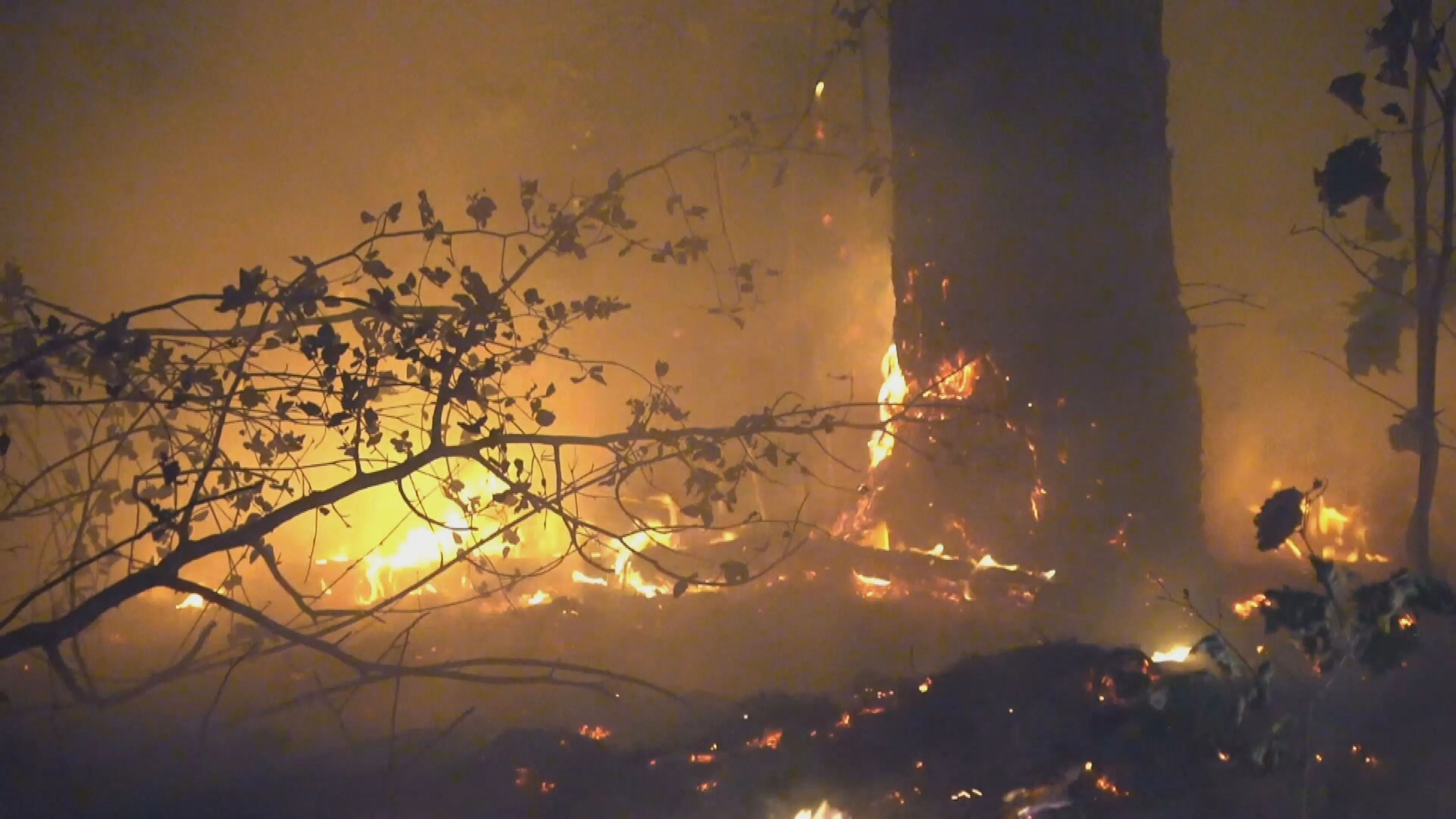 Natuurbrand bij Rhenen onder controle, nablussen nog bezig