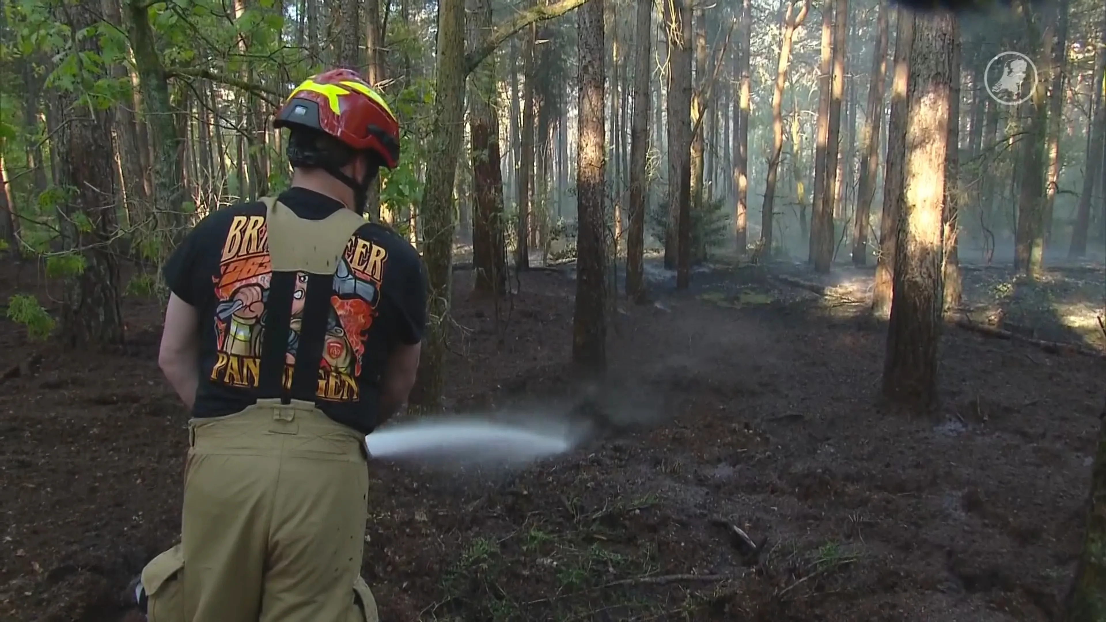 Grote natuurbrand in Helden onder controle, nablussen zal nog even duren