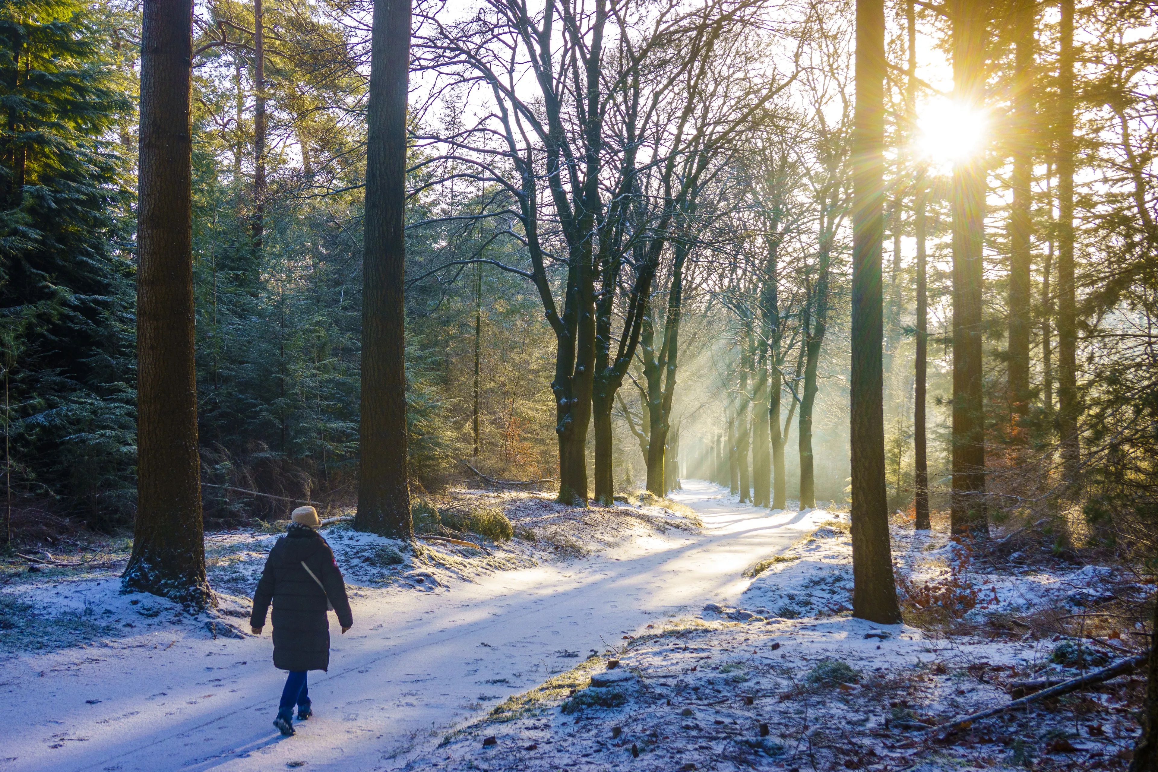 Winter is coming: tot 15 centimeter sneeuw in zuiden van het land