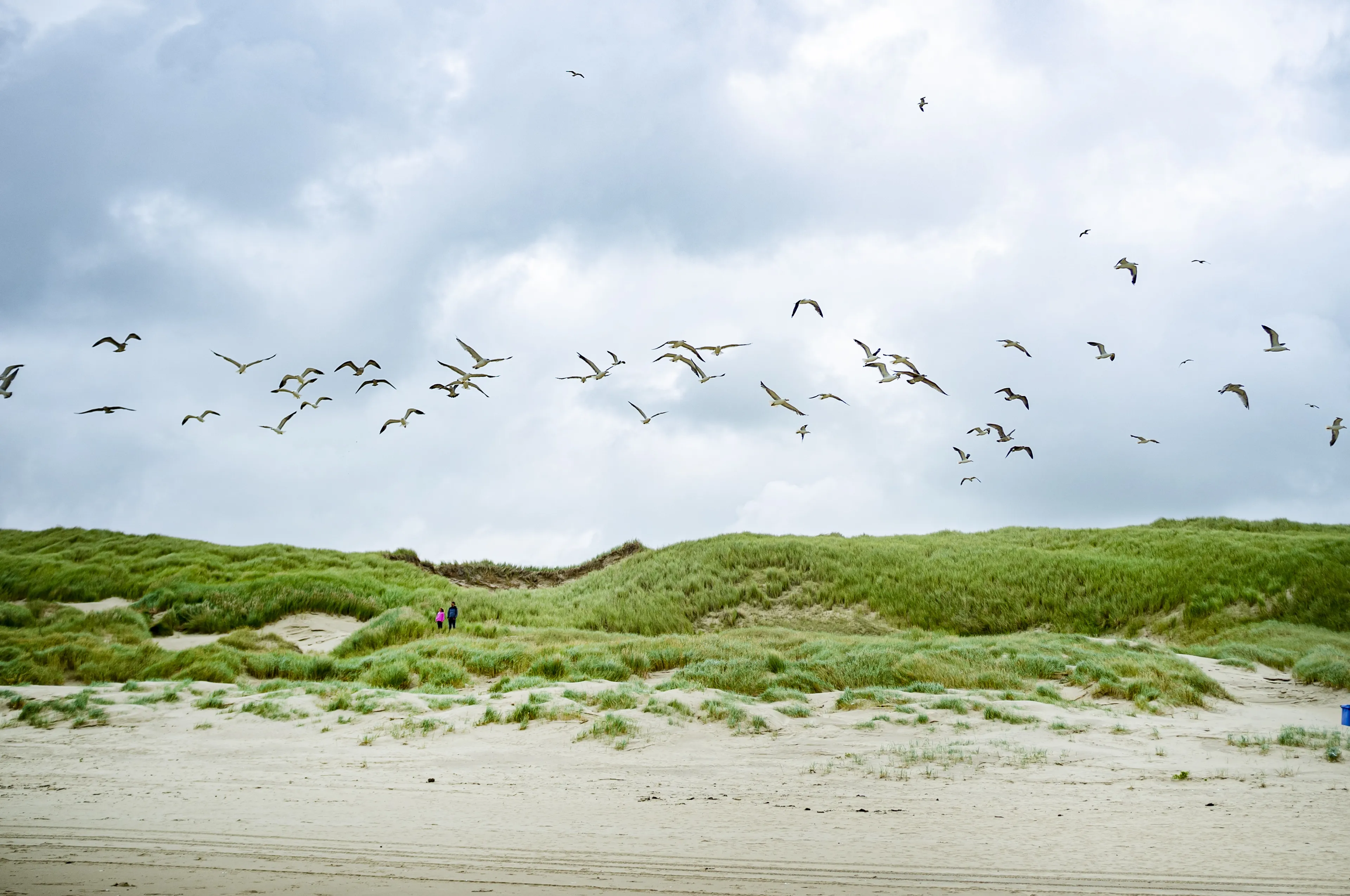 Steeds vaker klachten over seksende stelletjes in Zeeuws natuurgebied