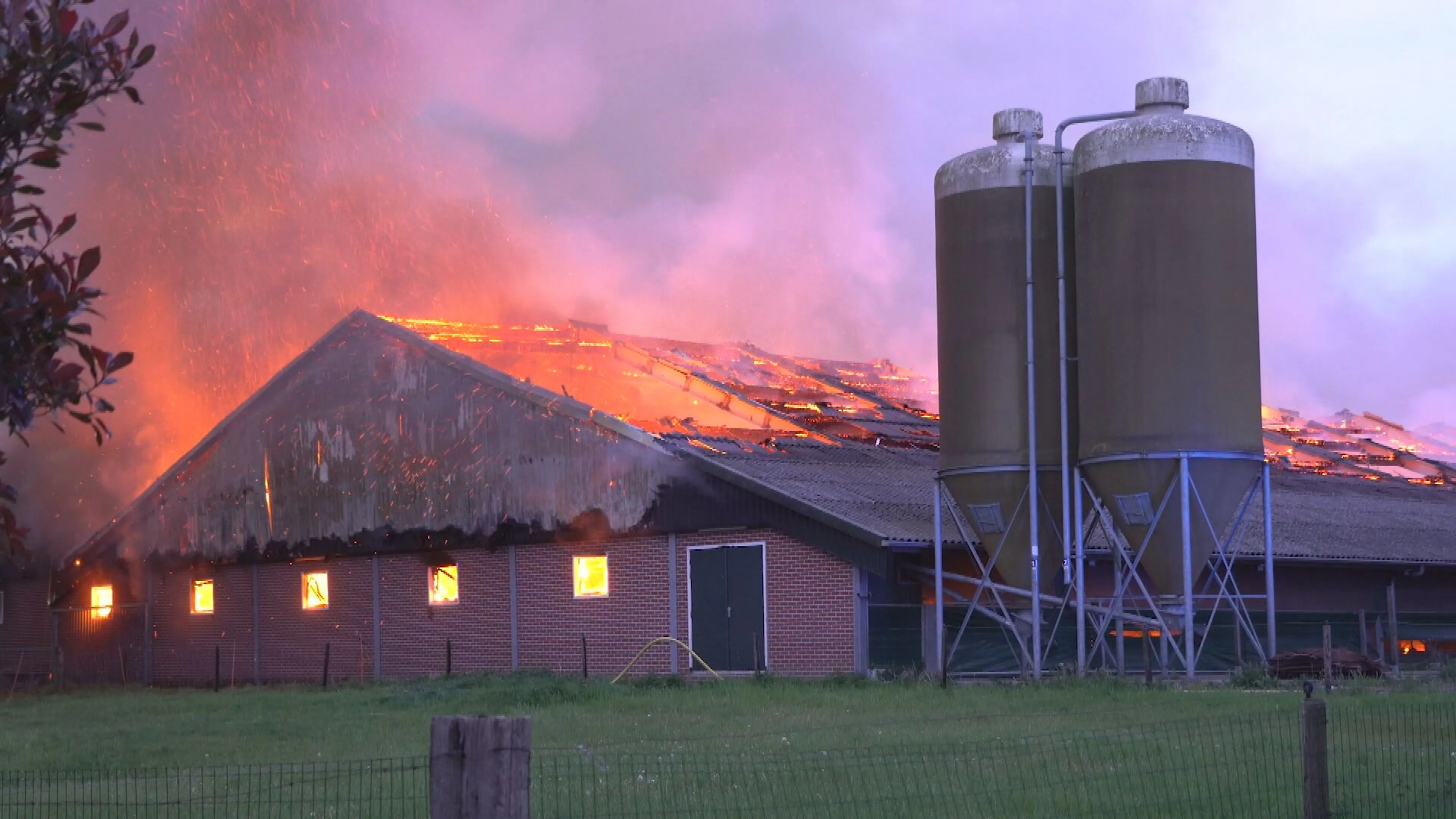 Verwoestende stalbrand in Varsen kost tienduizenden kippen het leven