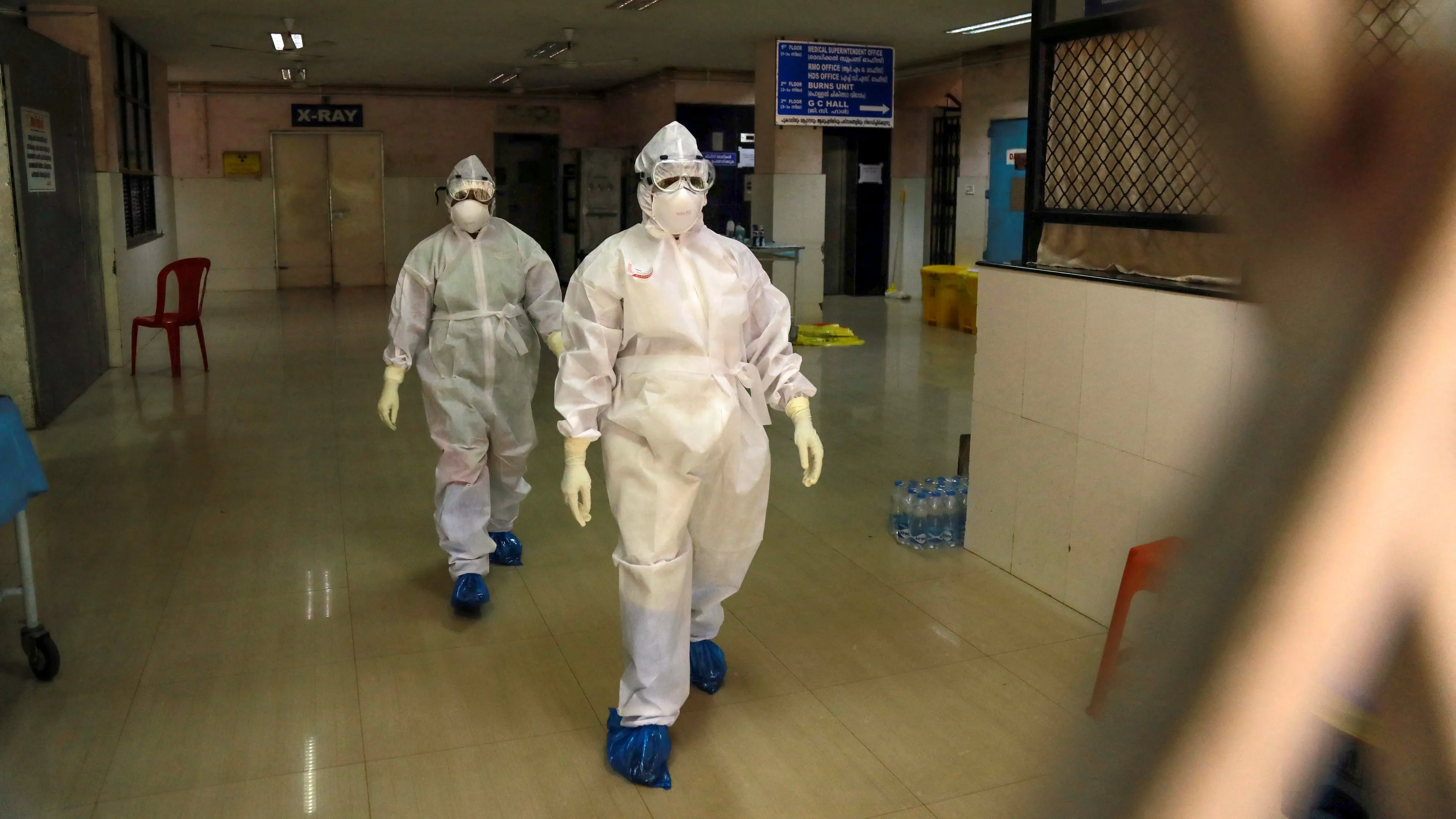 Zorgen om zeer dodelijk Nipah-virus, lopen we in Nederland gevaar?