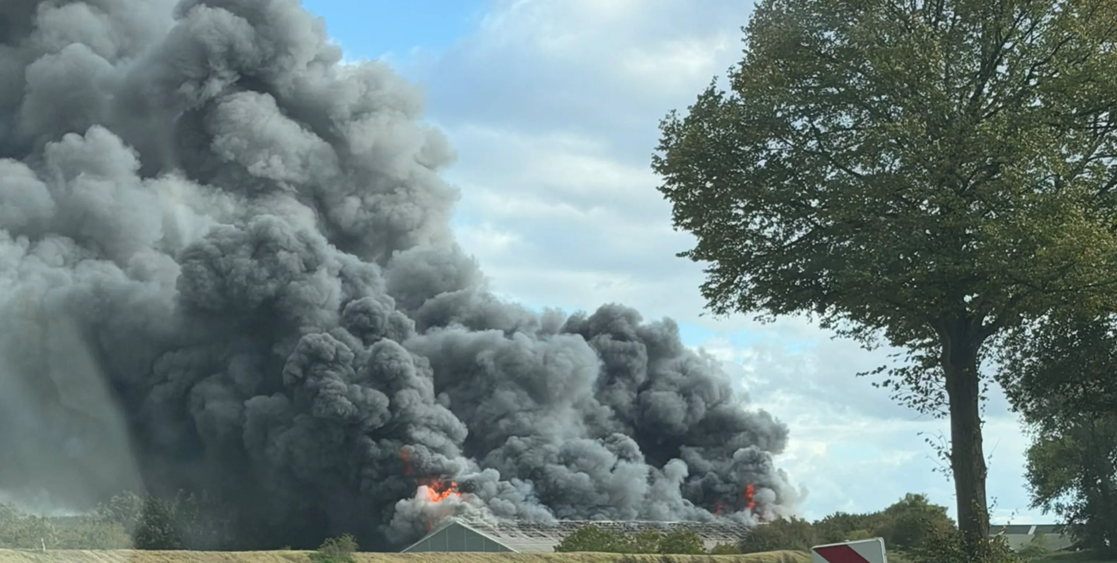 Schuurbrand in Biervliet kost 18.000 kippen het leven