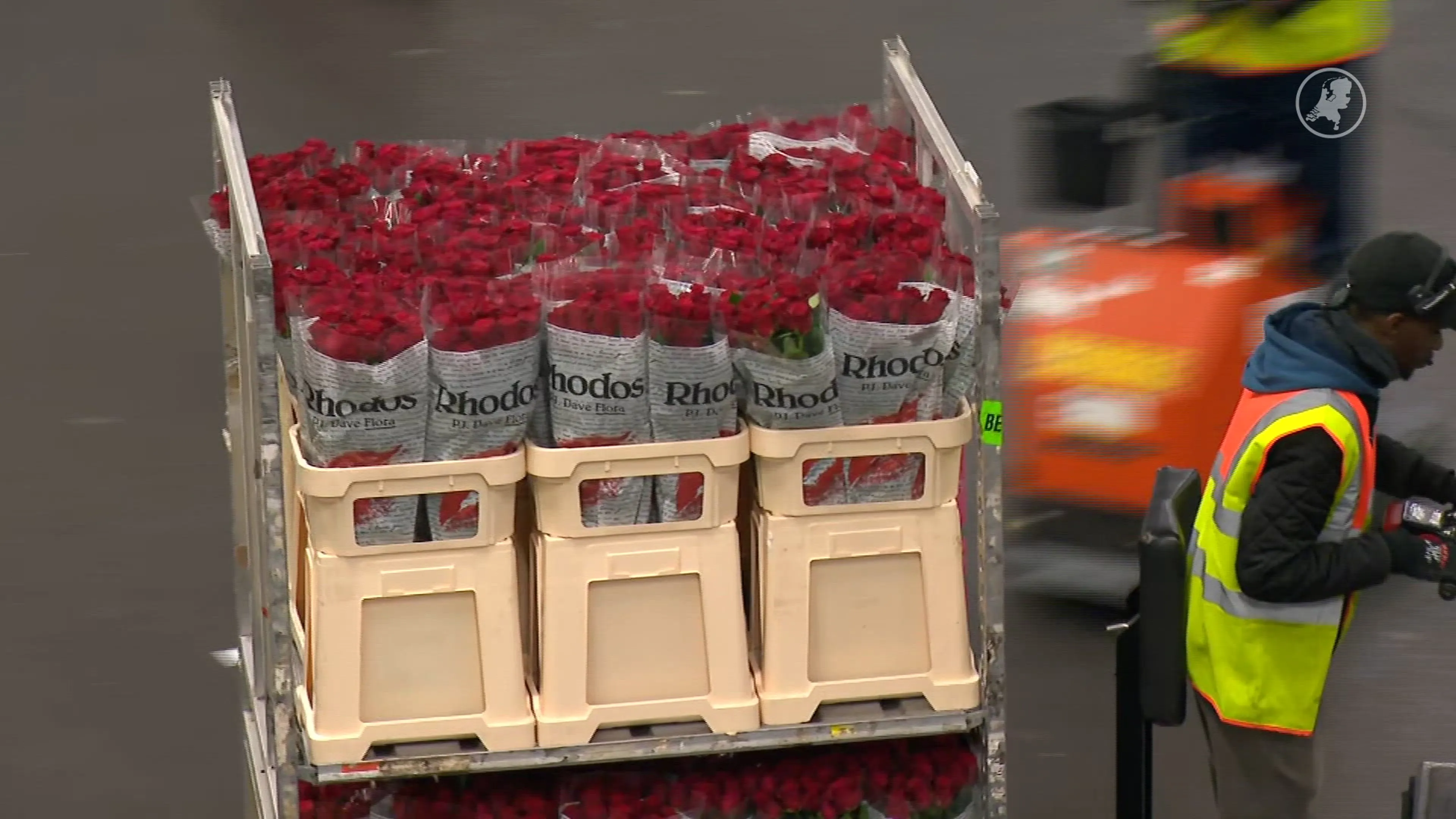 Nu al topdrukte bij bloemenveiling voor Valentijnsdag
