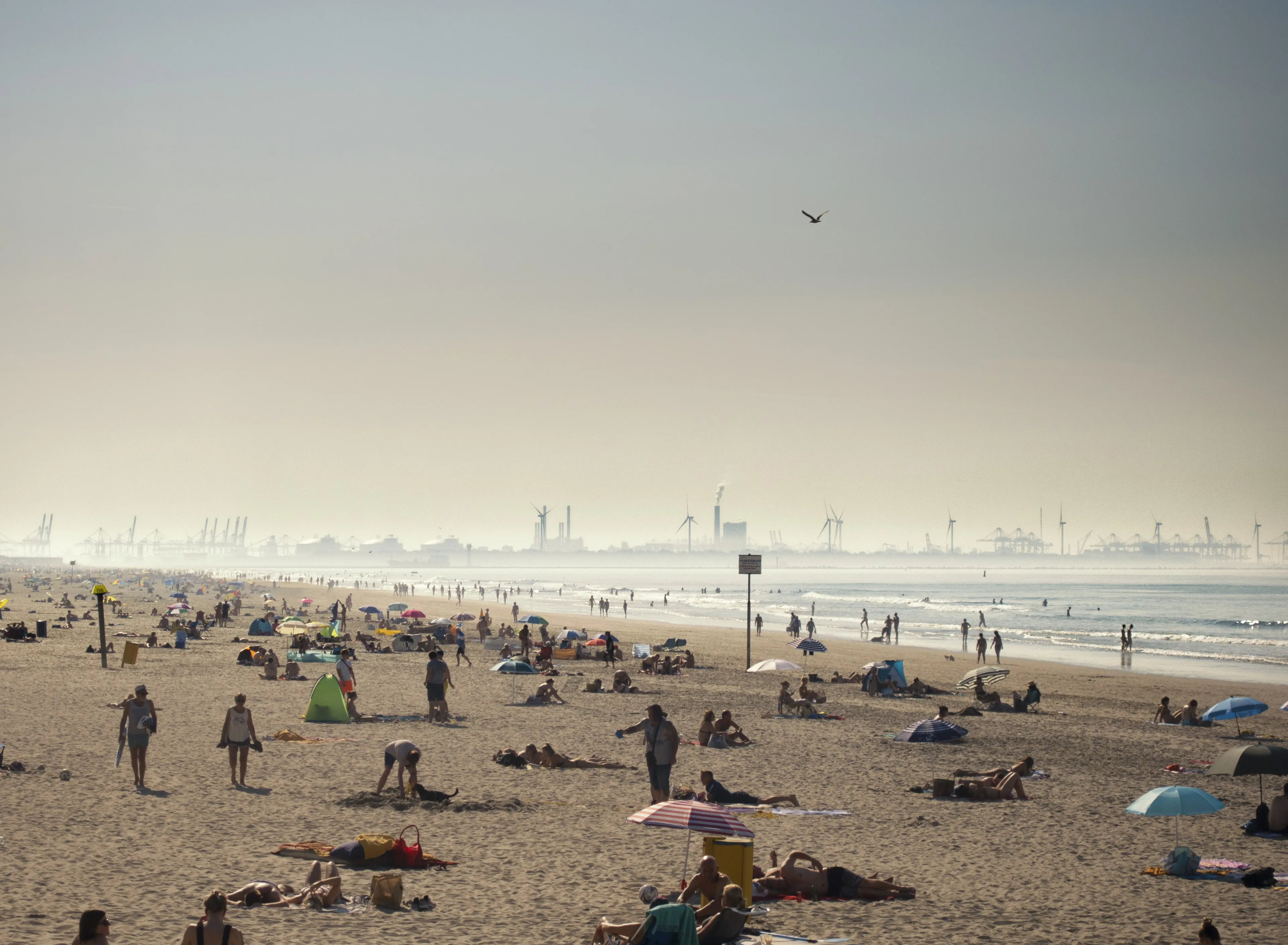 RIVM waarschuwt voor smog: ook mensen die corona hebben (gehad) moeten oppassen
