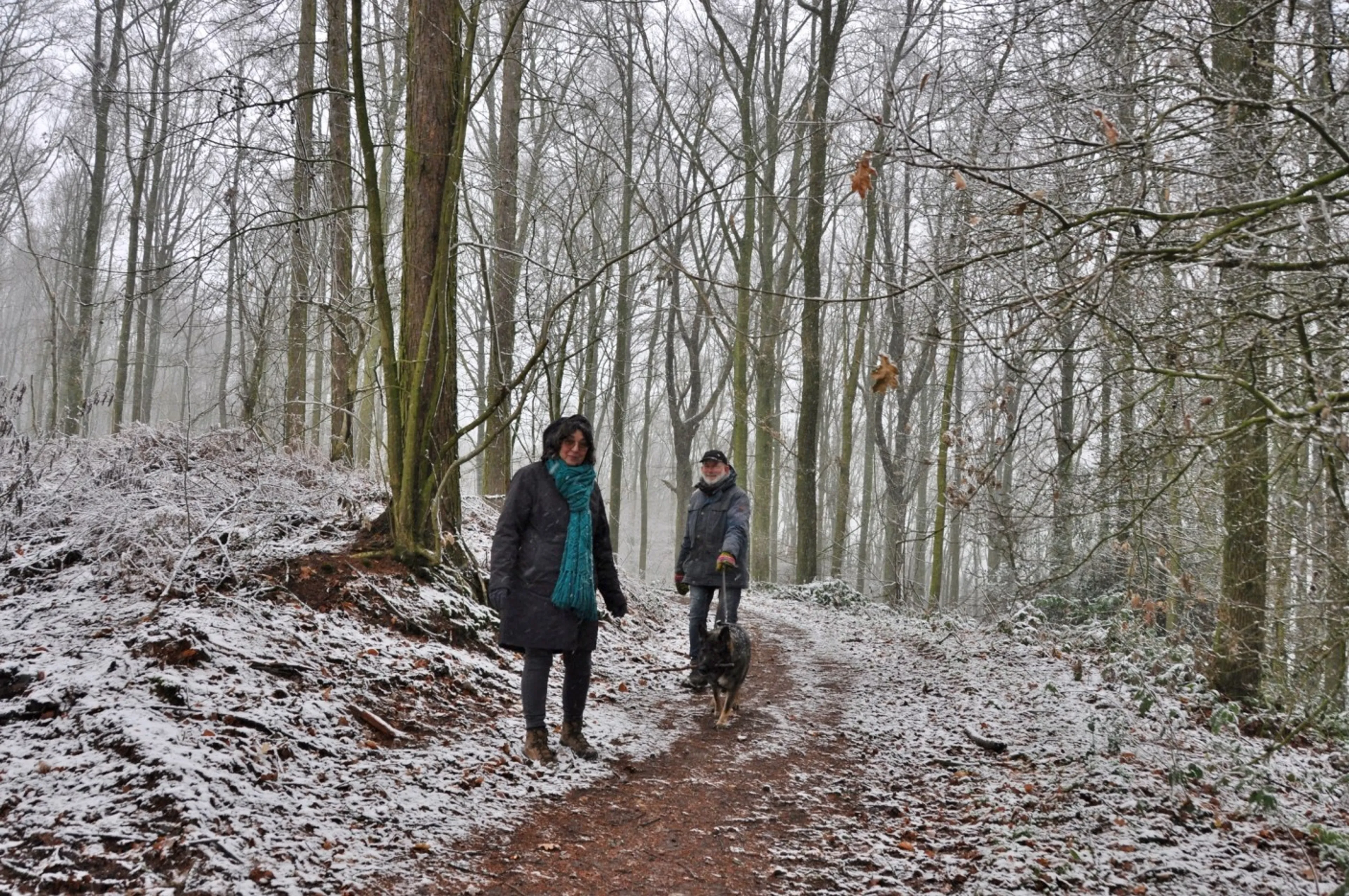 Sneeuwliefhebbers opgelet! Limburgse heuvels bedekt met pak sneeuw