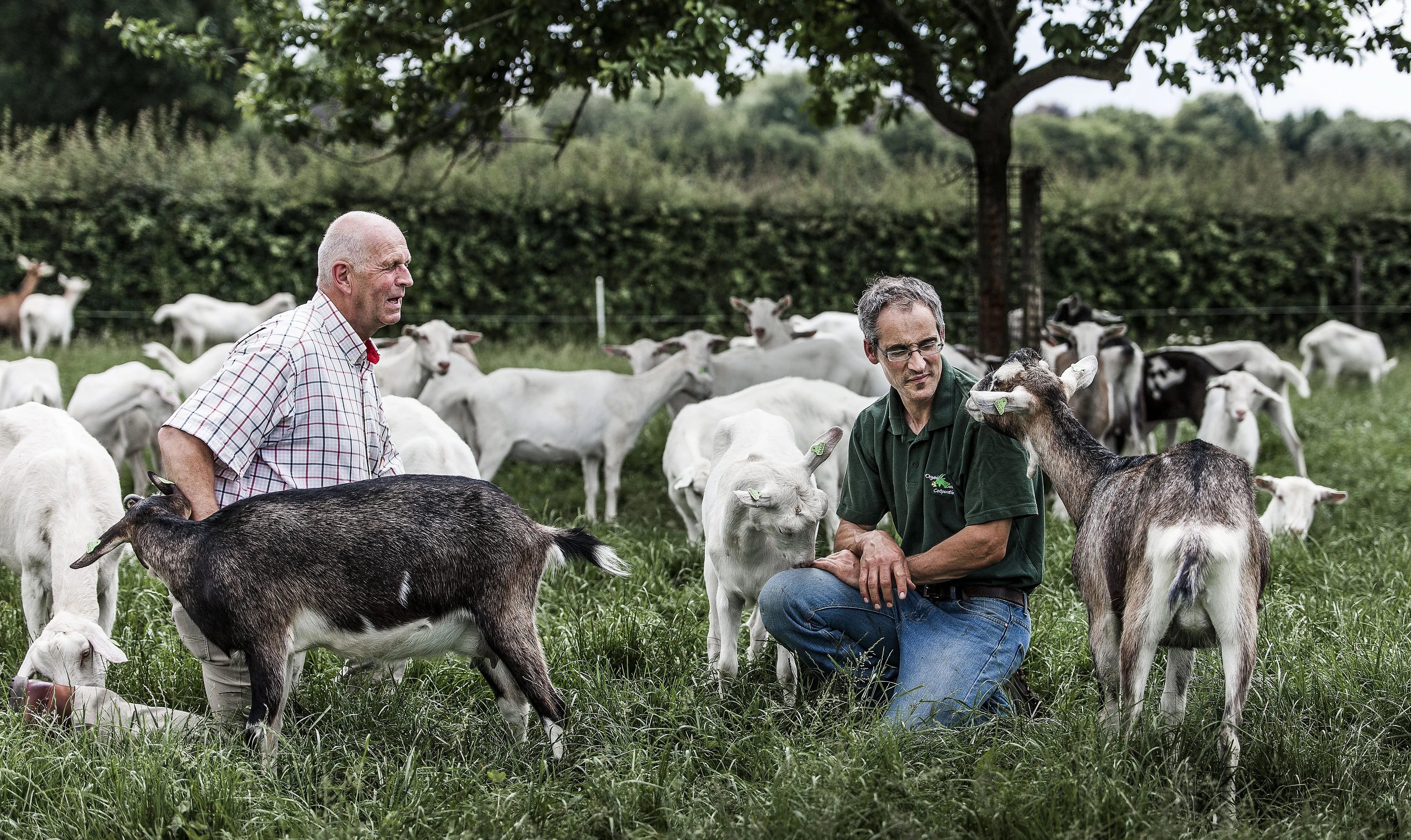 Van der Wal: biologische boeren worden mogelijk ontzien in stikstofplan