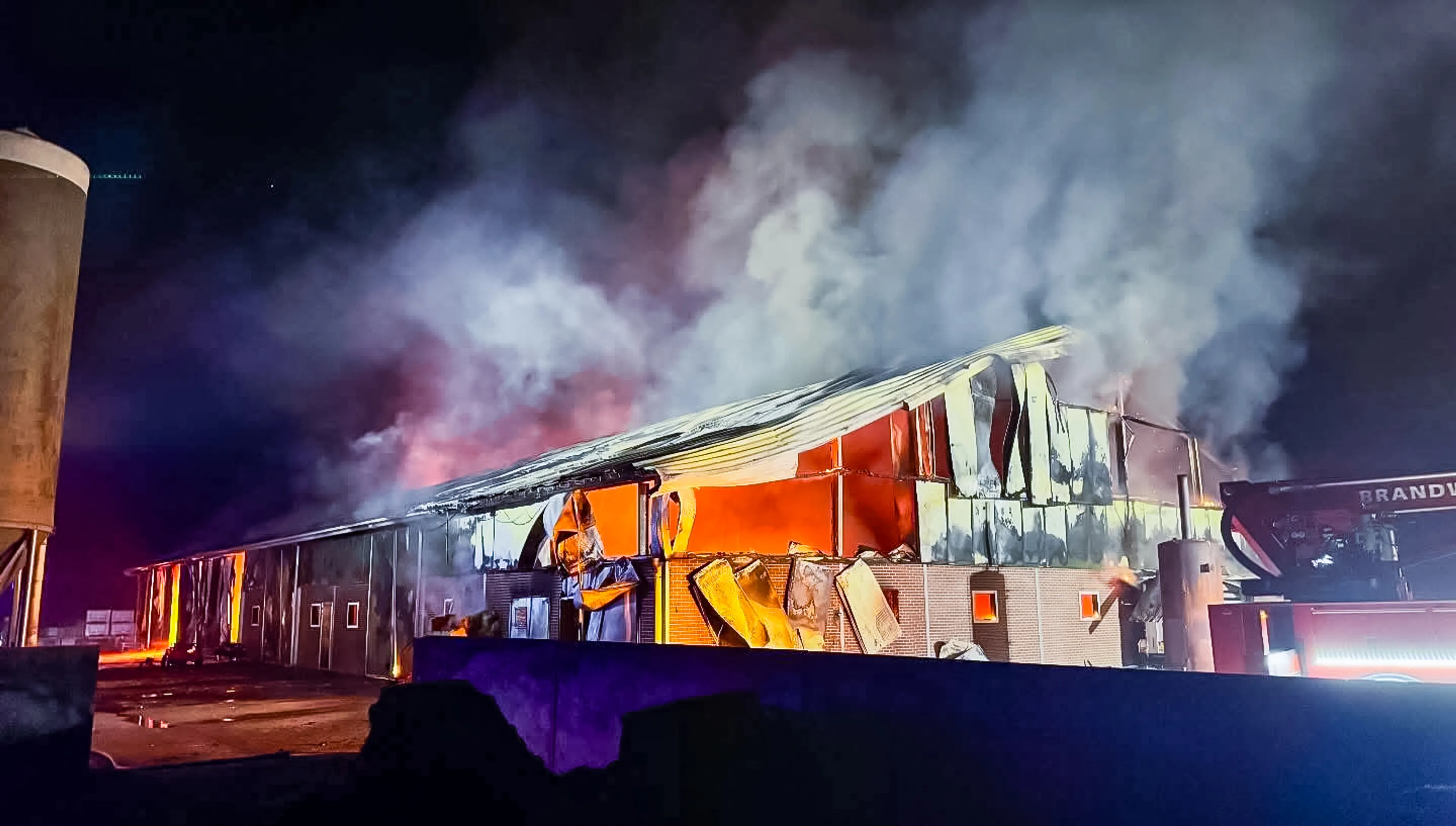 1100 geiten omgekomen bij uitslaande stalbrand in Epe