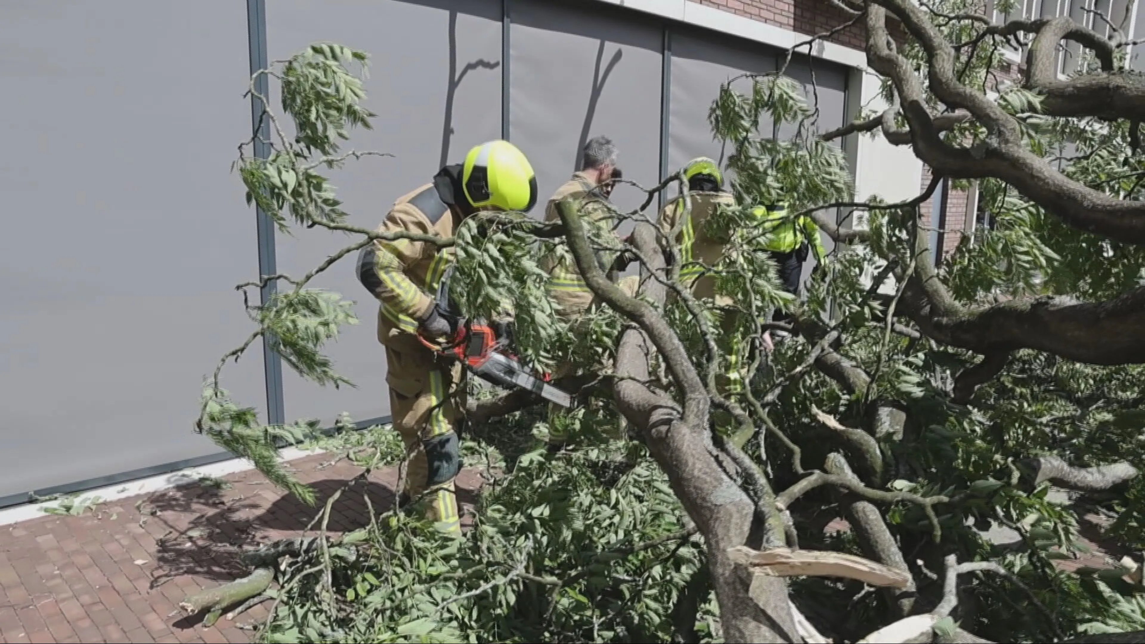 Stormschade door hele land: vrouw geraakt door omvallende boom