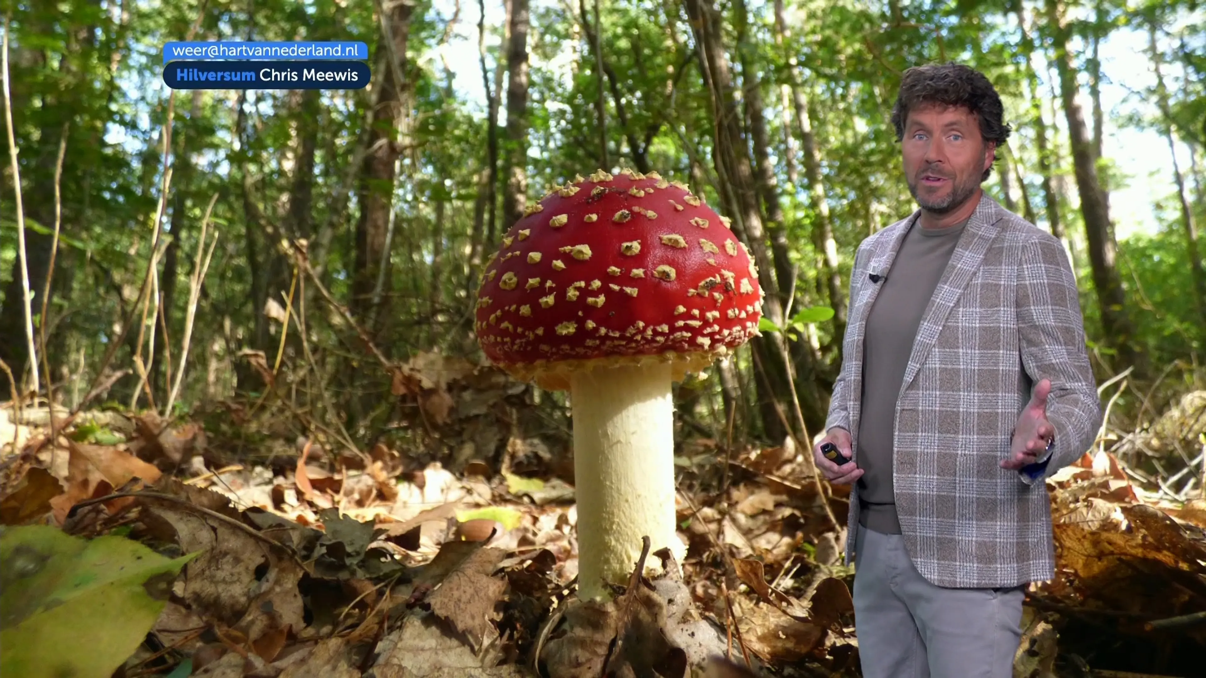 Laatste weekend van september belooft zonnige herfsttaferelen