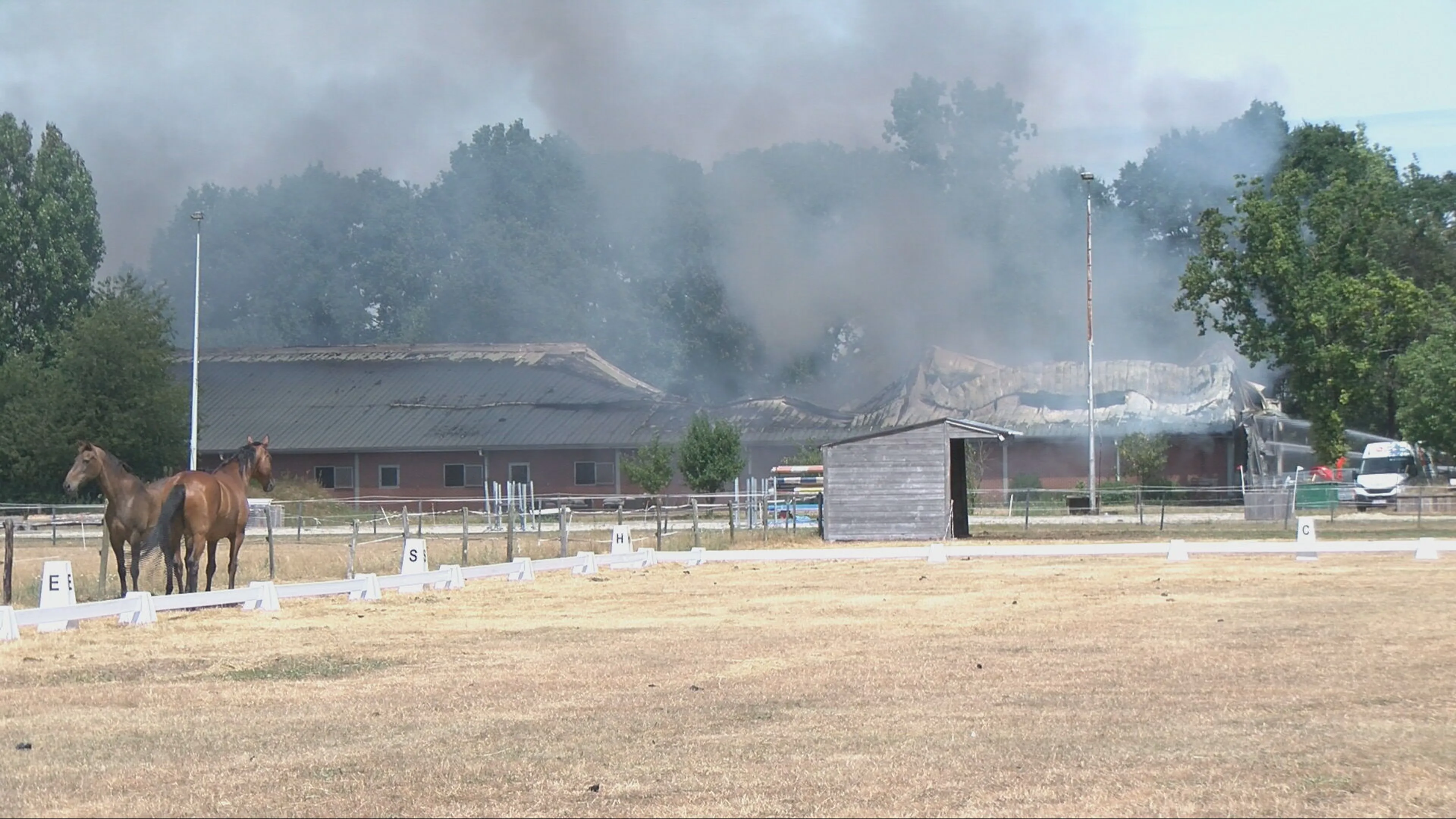Grote brand verwoest stal Clinge, twee paarden omgekomen