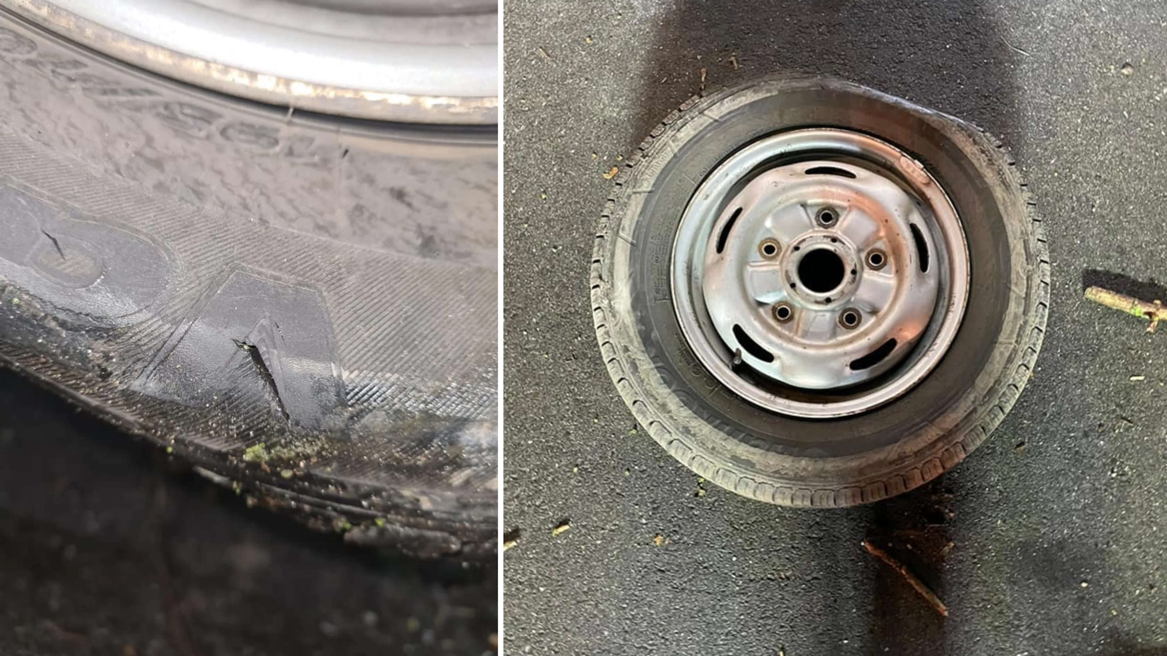 Man bedreigt en mishandelt dierenambulancemedewerkster, steekt banden van haar bus lek