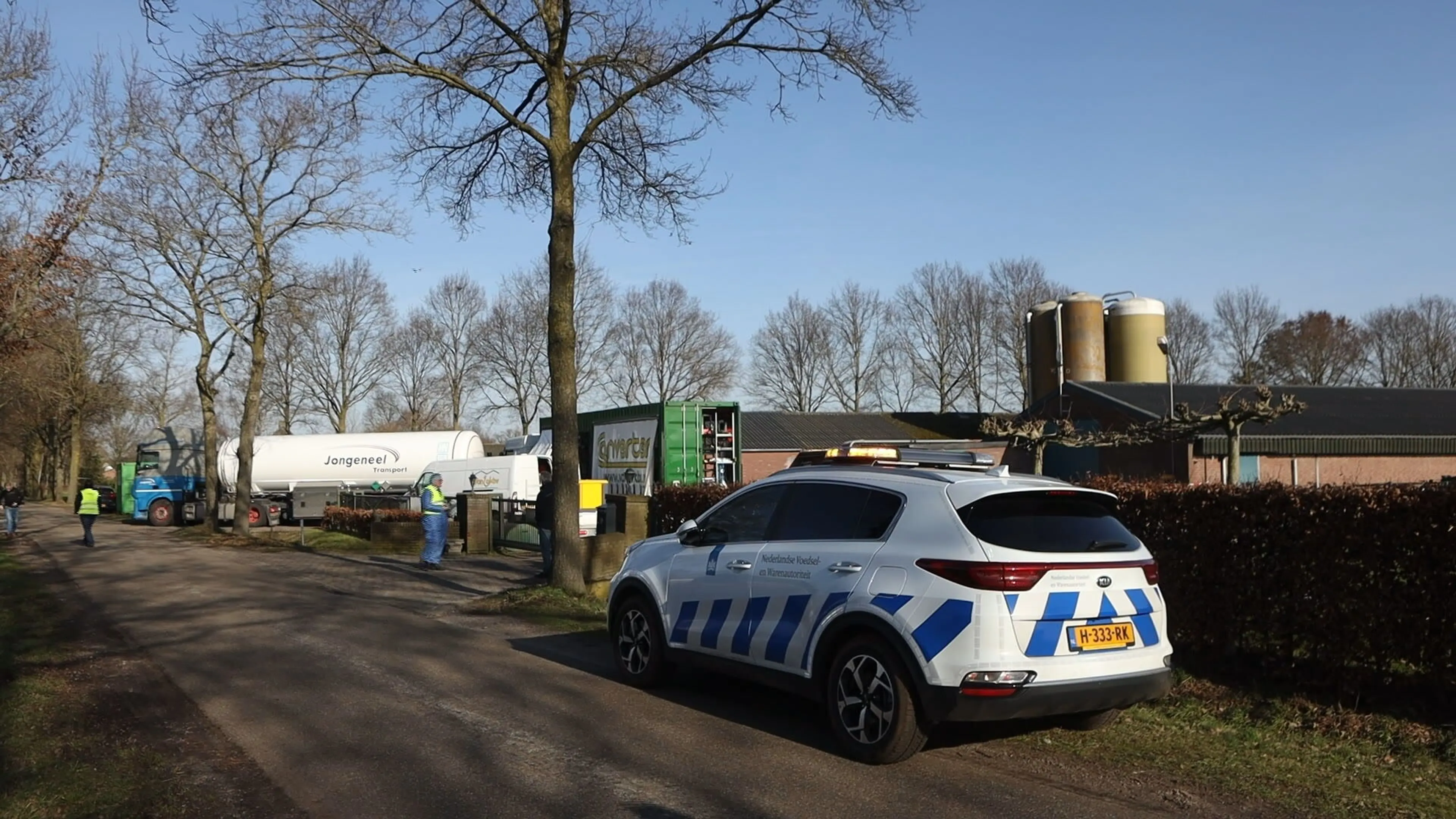 Tienduizenden kippen bij drie Brabantse pluimveebedrijven geruimd na uitbraak vogelgriep