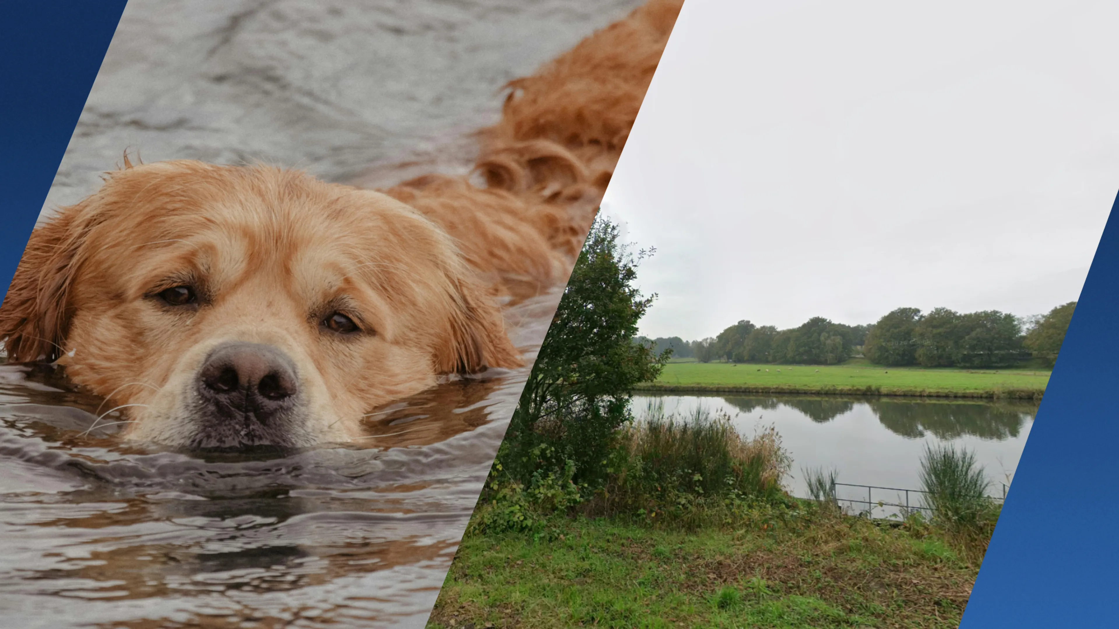 Man en hondje gered uit kanaal in Nederweert