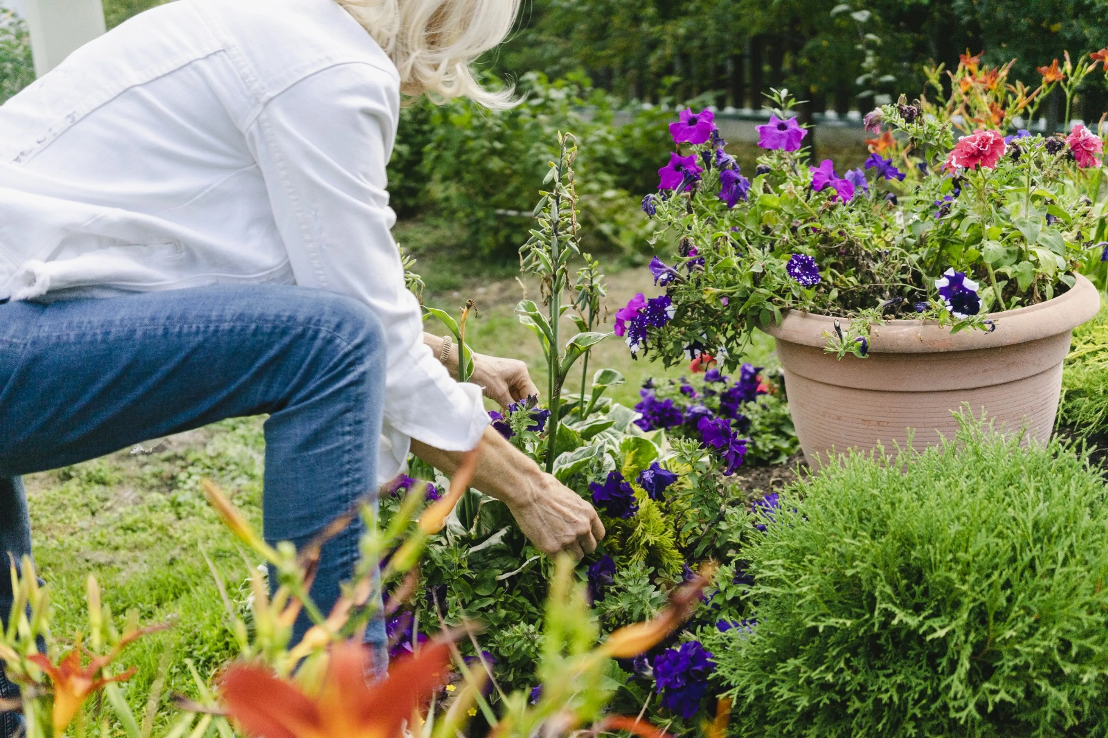 Maak jij je tuin dit weekend lenteklaar? Let hier dan op