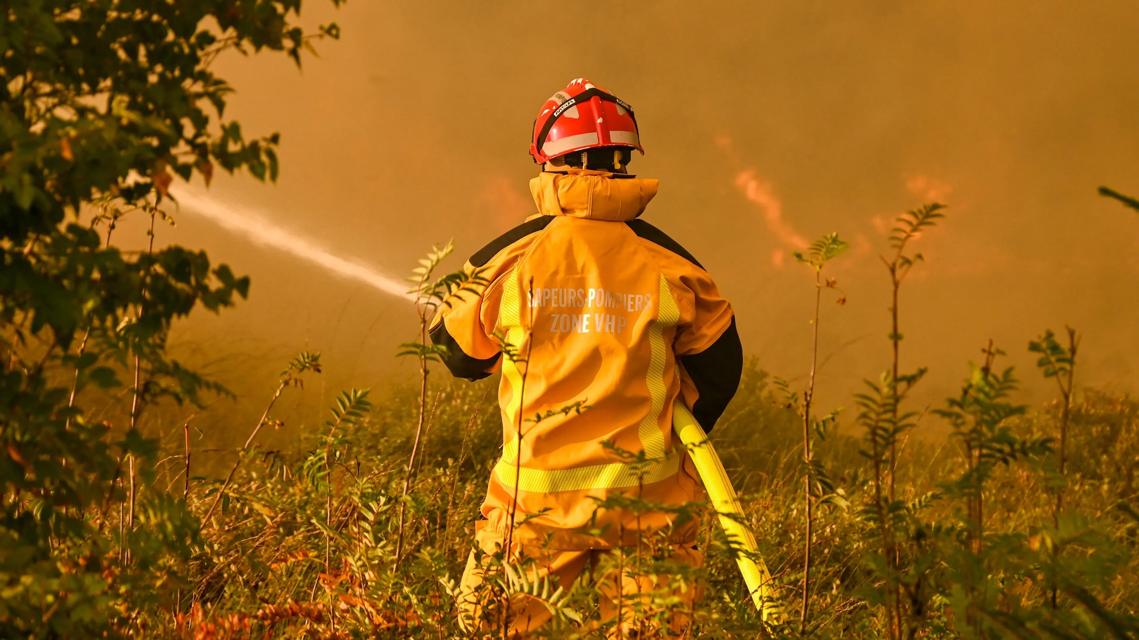 Nederlandse brandweer schiet te hulp bij natuurbrand België