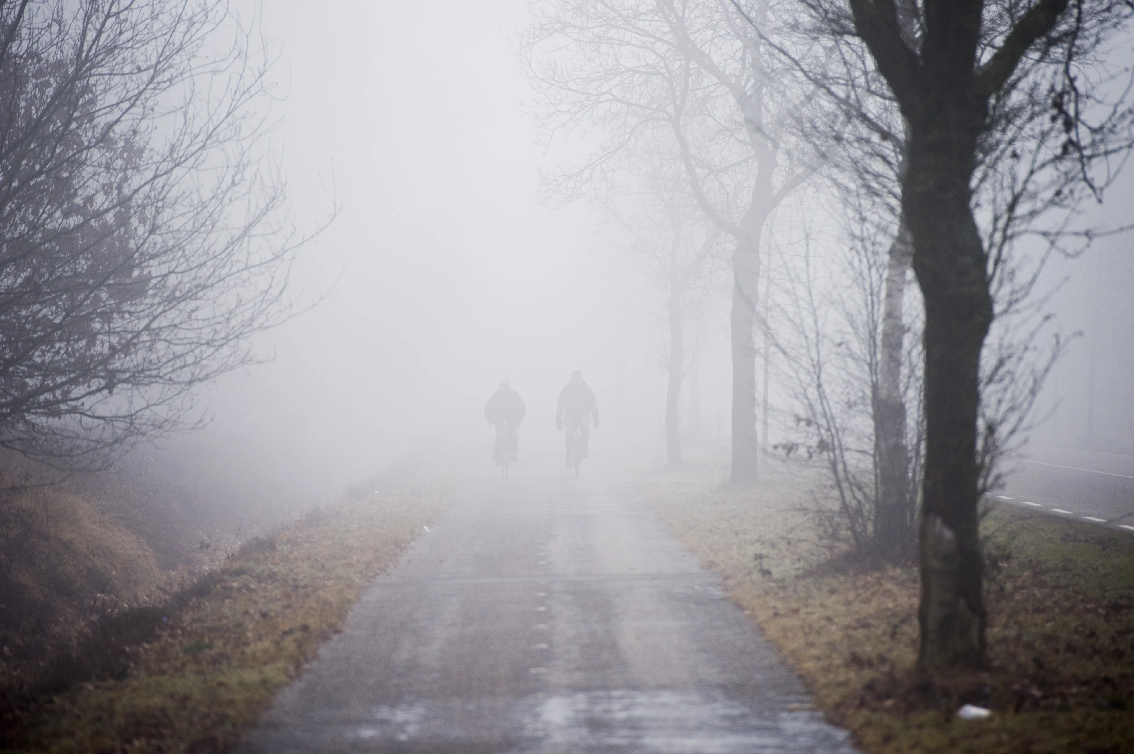 Code geel door gladheid en mist: vooral deze regio's opgelet