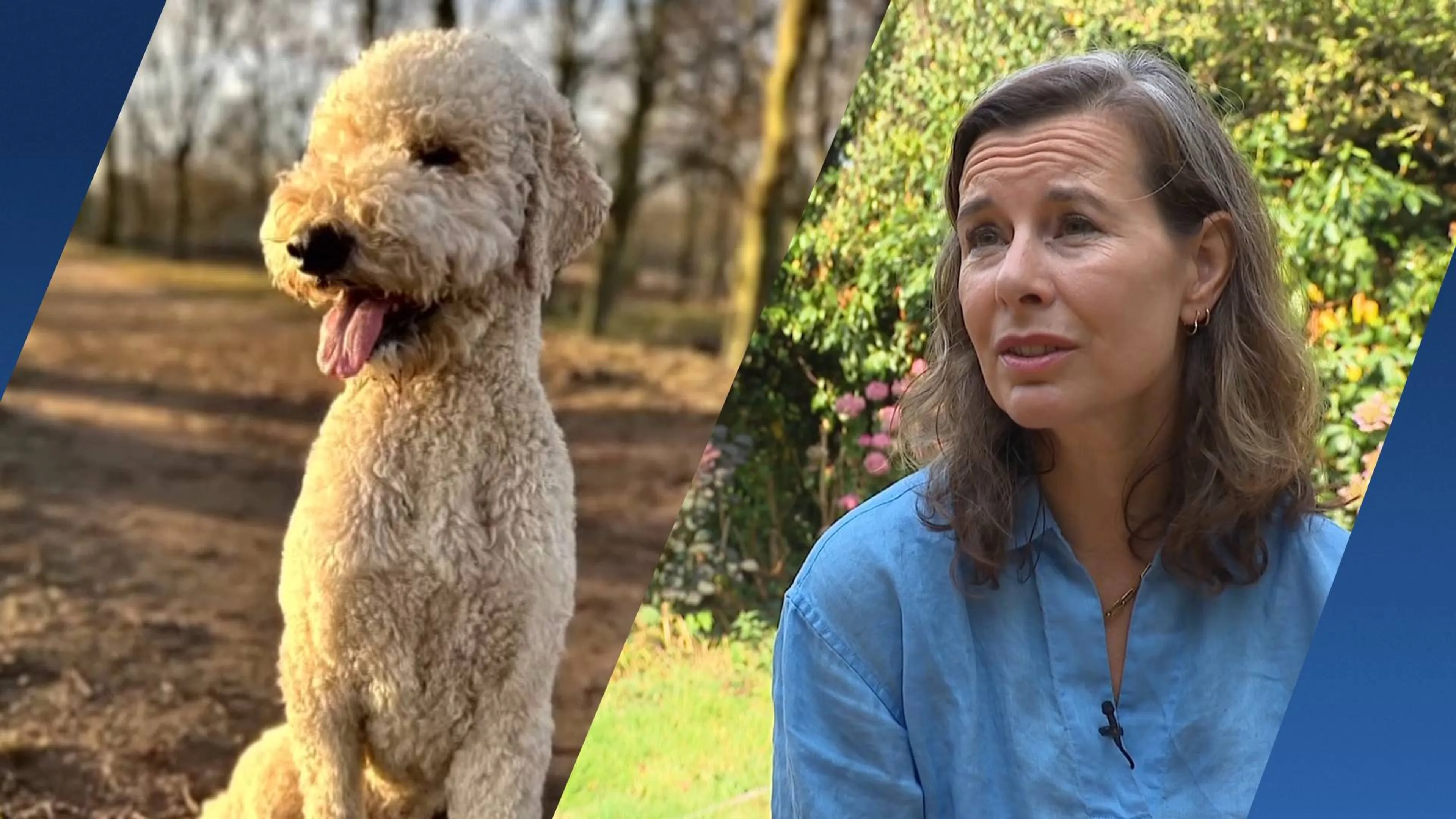 Fiona's hond moest worden ingeslapen na verblijf in opvang