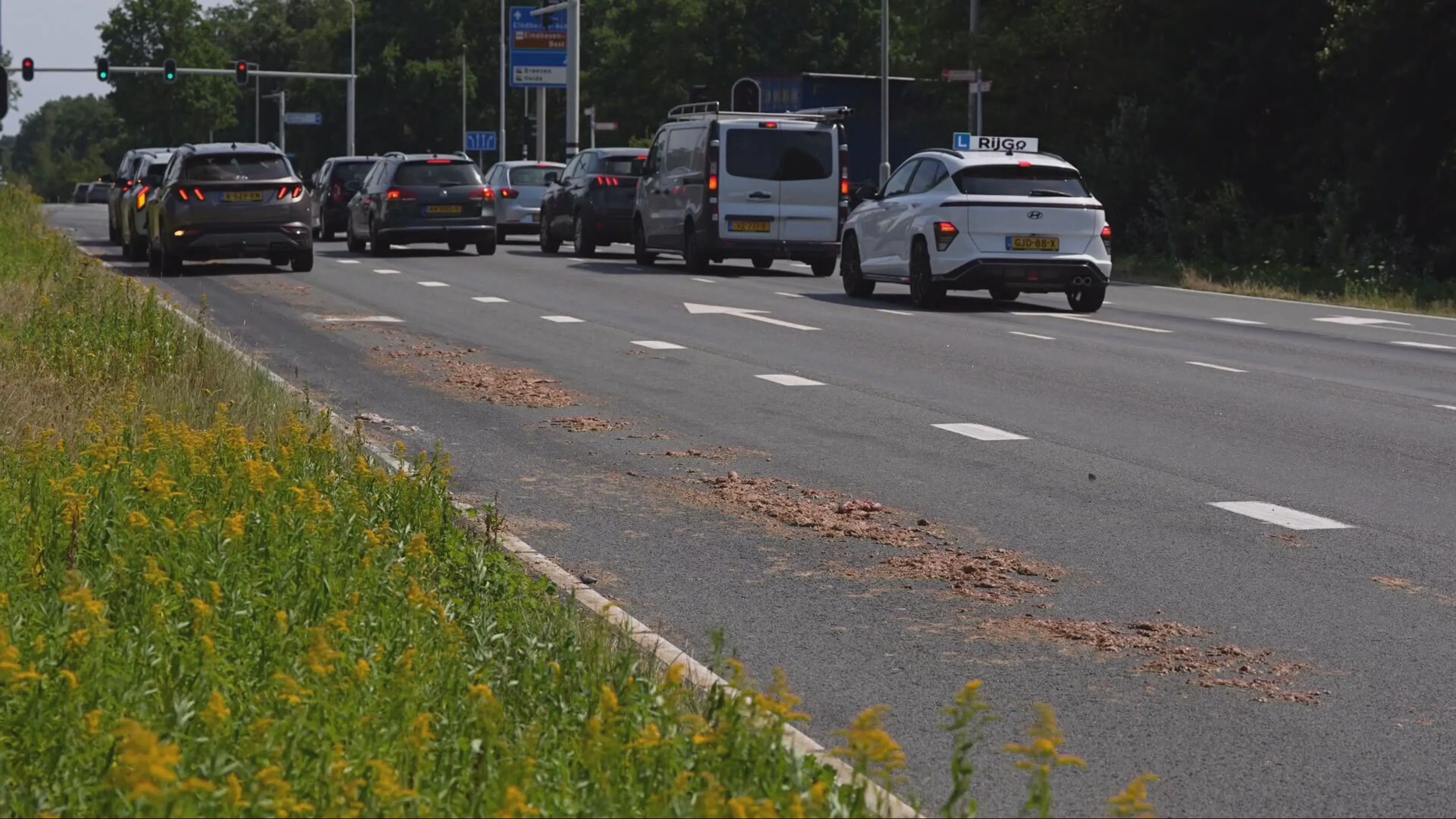 Vrachtwagen laat kilometerslang spoor van slachtafval achter in Best