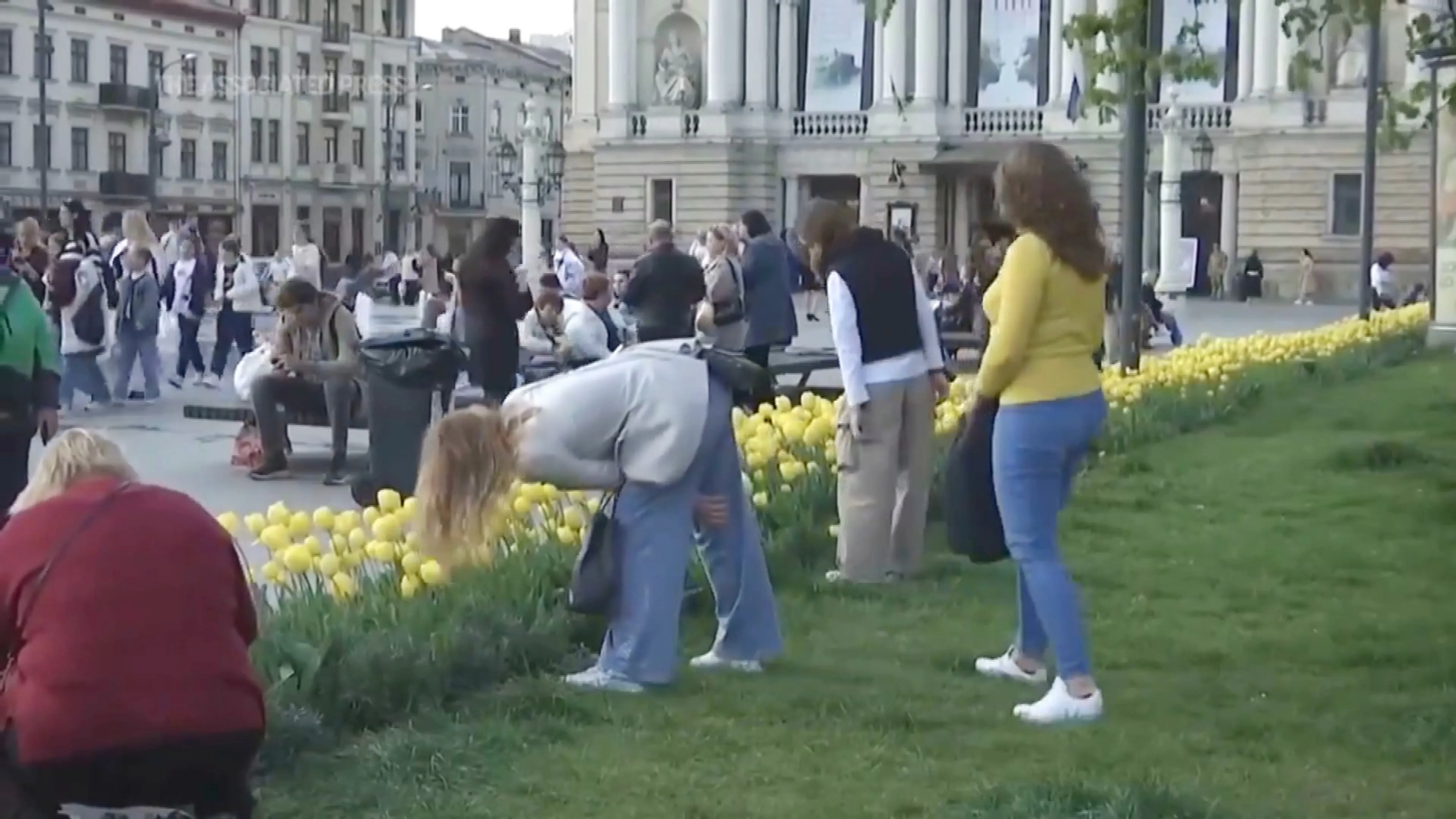 Oekraïense stad opgefleurd dankzij Nederlandse tulpen: 'Oneindig dankbaar'