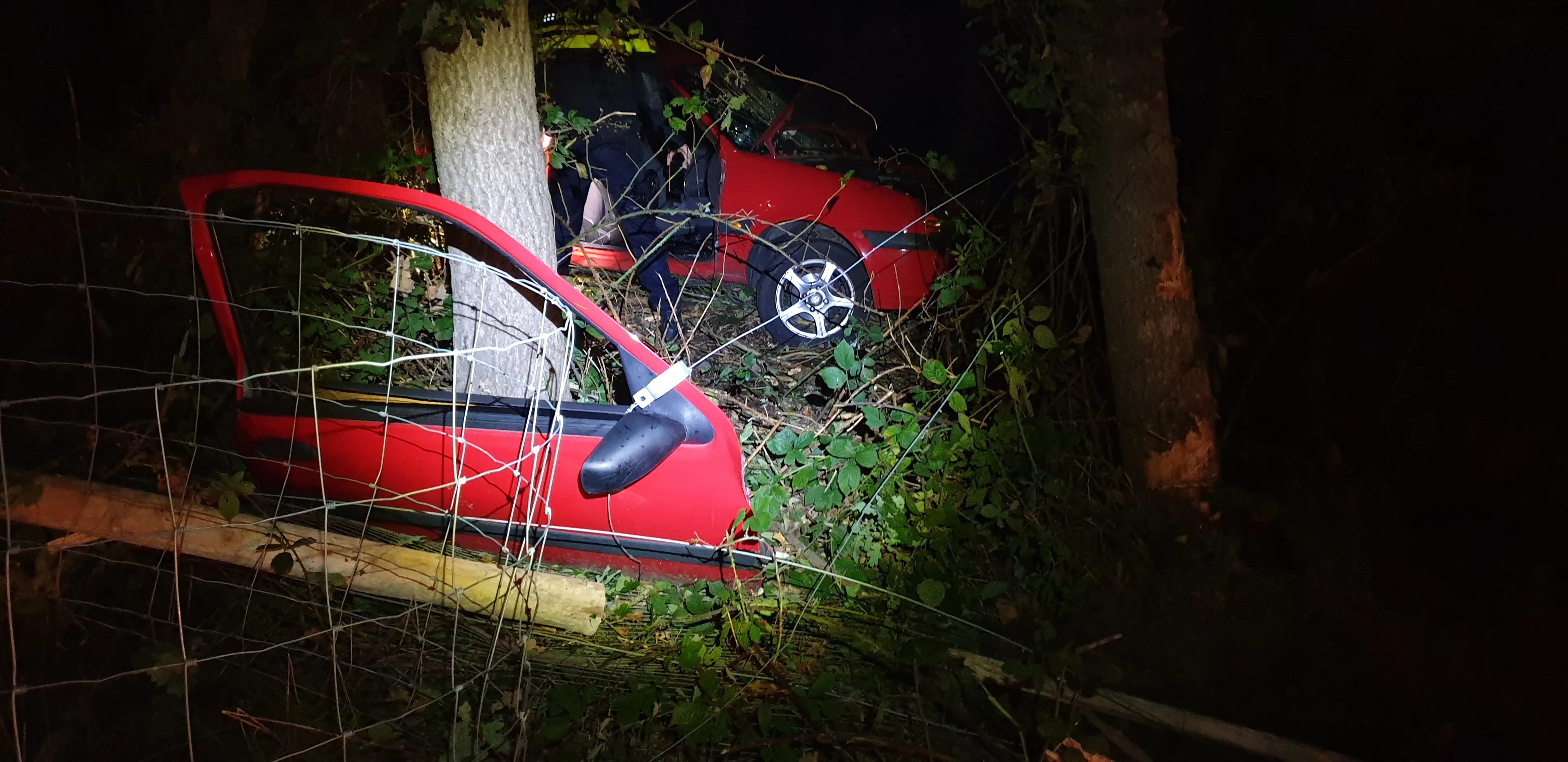 Automobilist (33) uit Almelo komt om bij eenzijdig ongeval