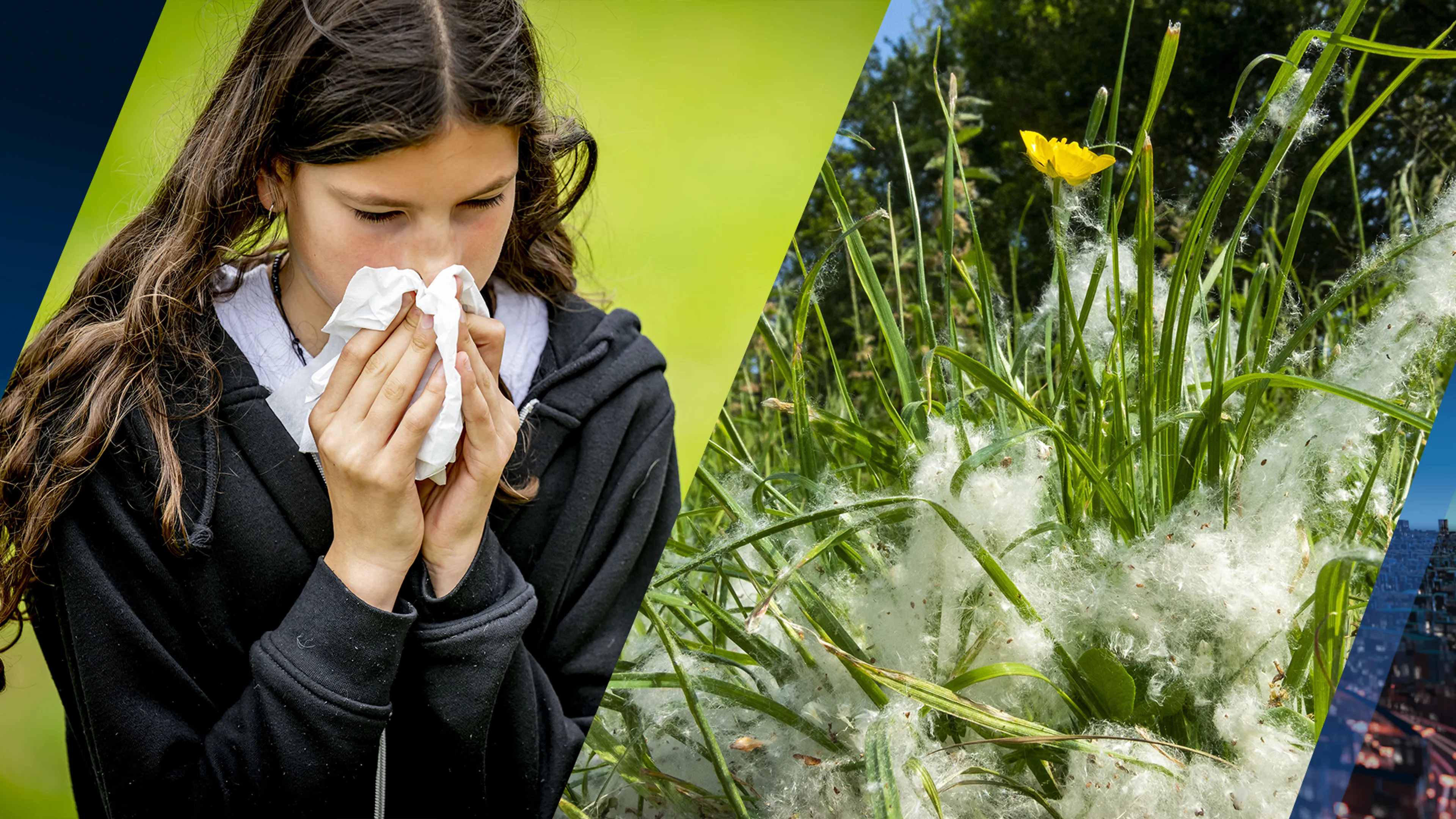 Hooikoortspiek op komst: Zo bescherm jij je tegen die vervelende pollen