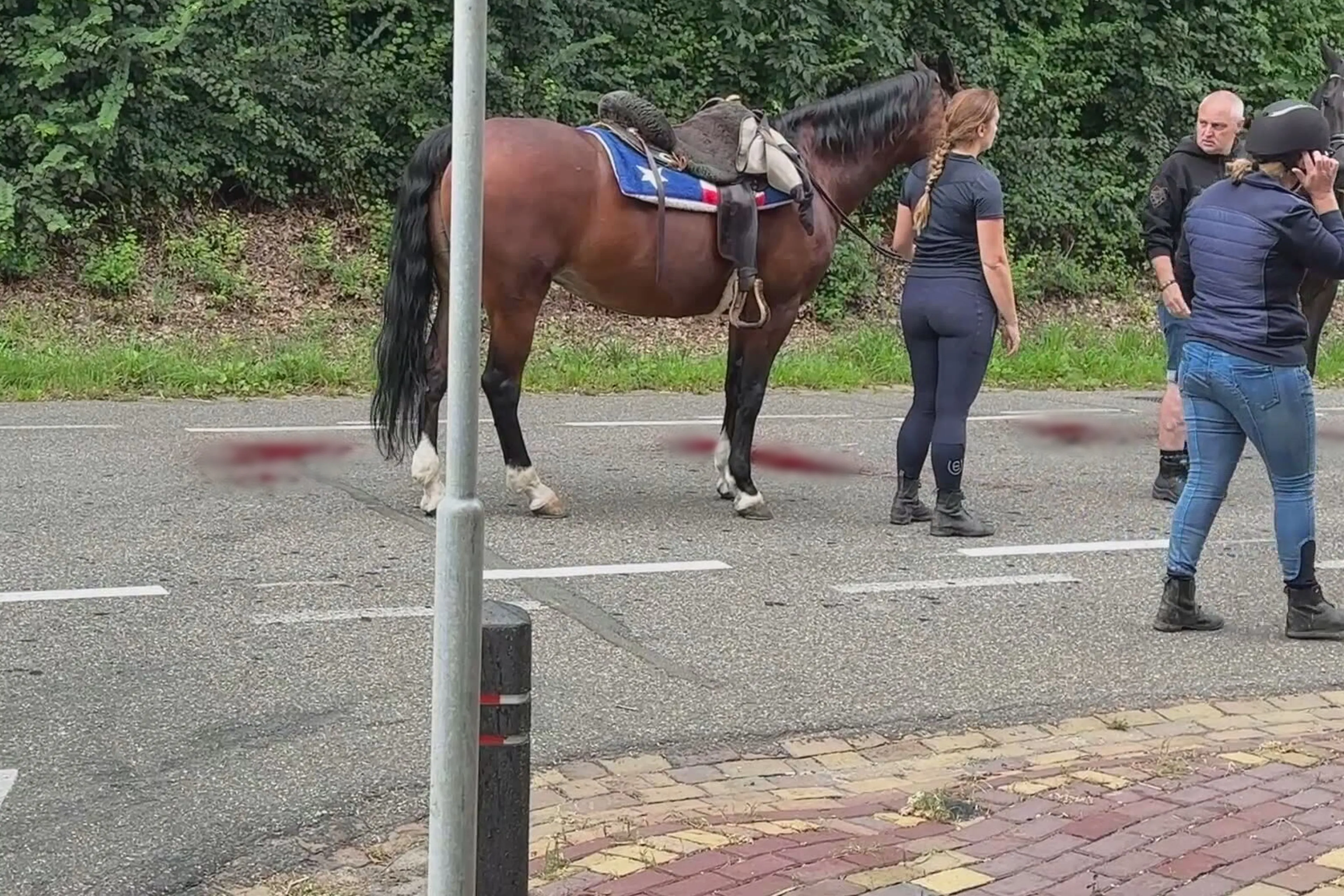 Paard gewond bij aanrijding met auto Schimmert