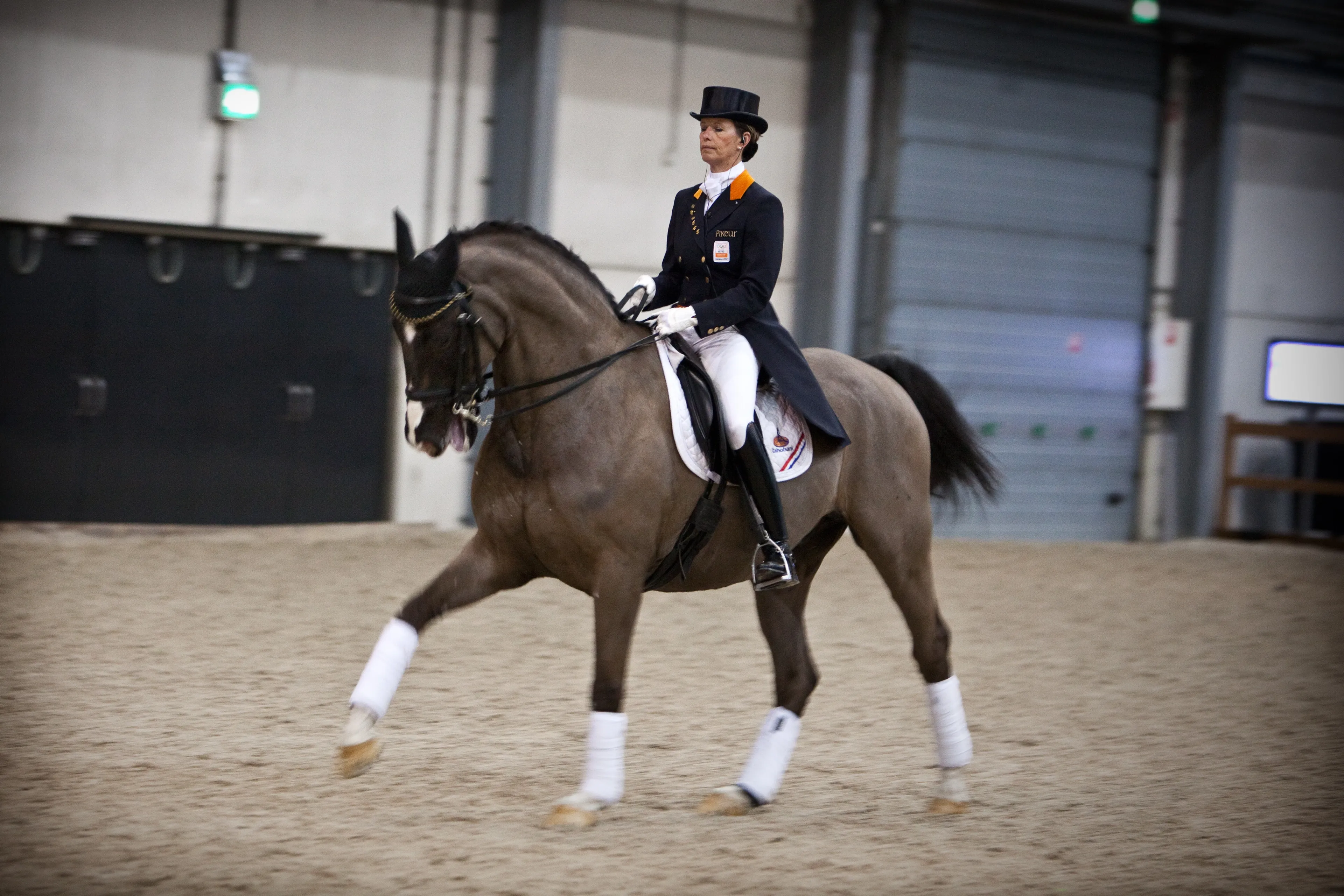 Van Grunsvens olympische paard Salinero overleden