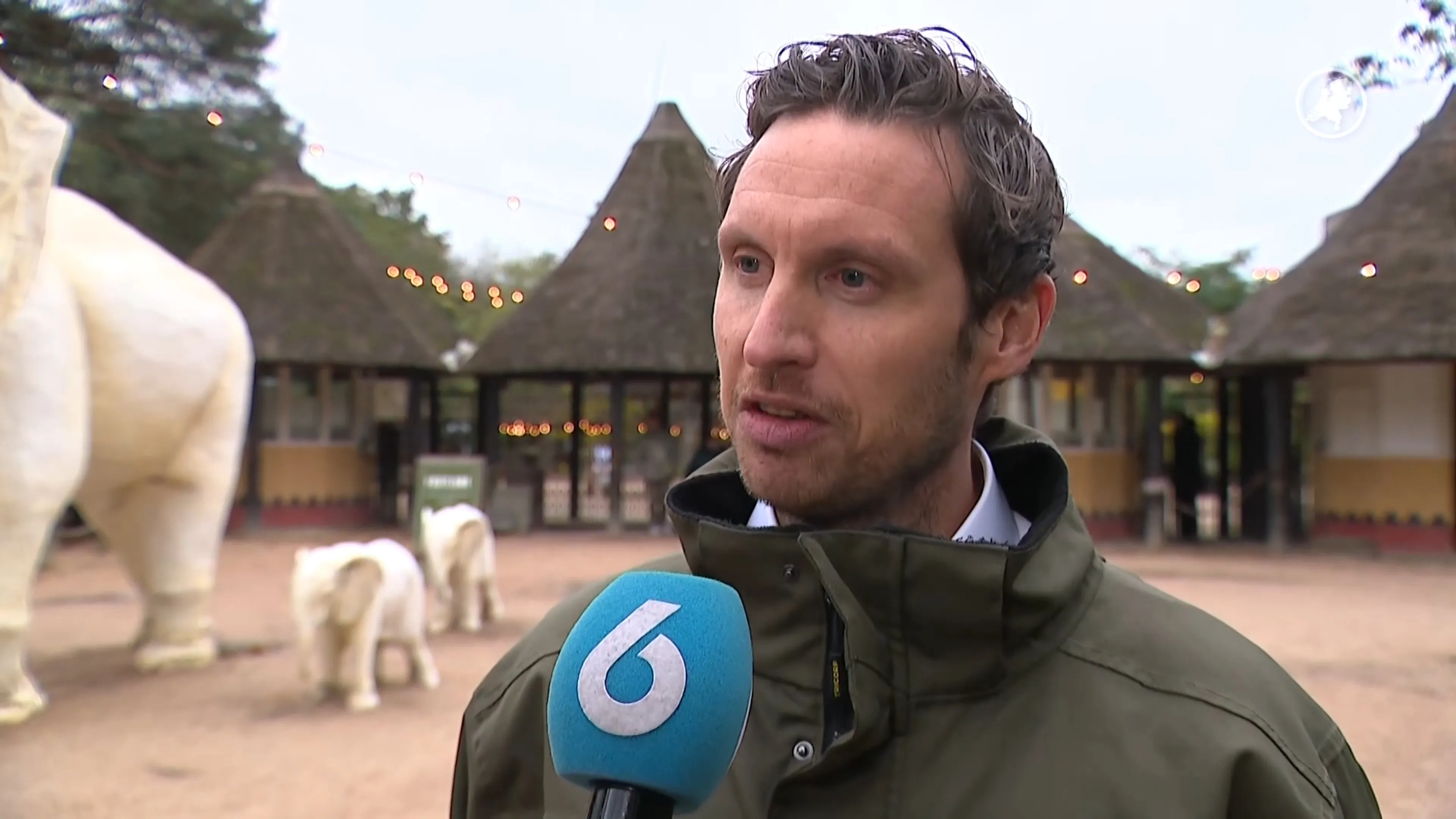 Verzorgster gewond geraakt in Beekse Bergen