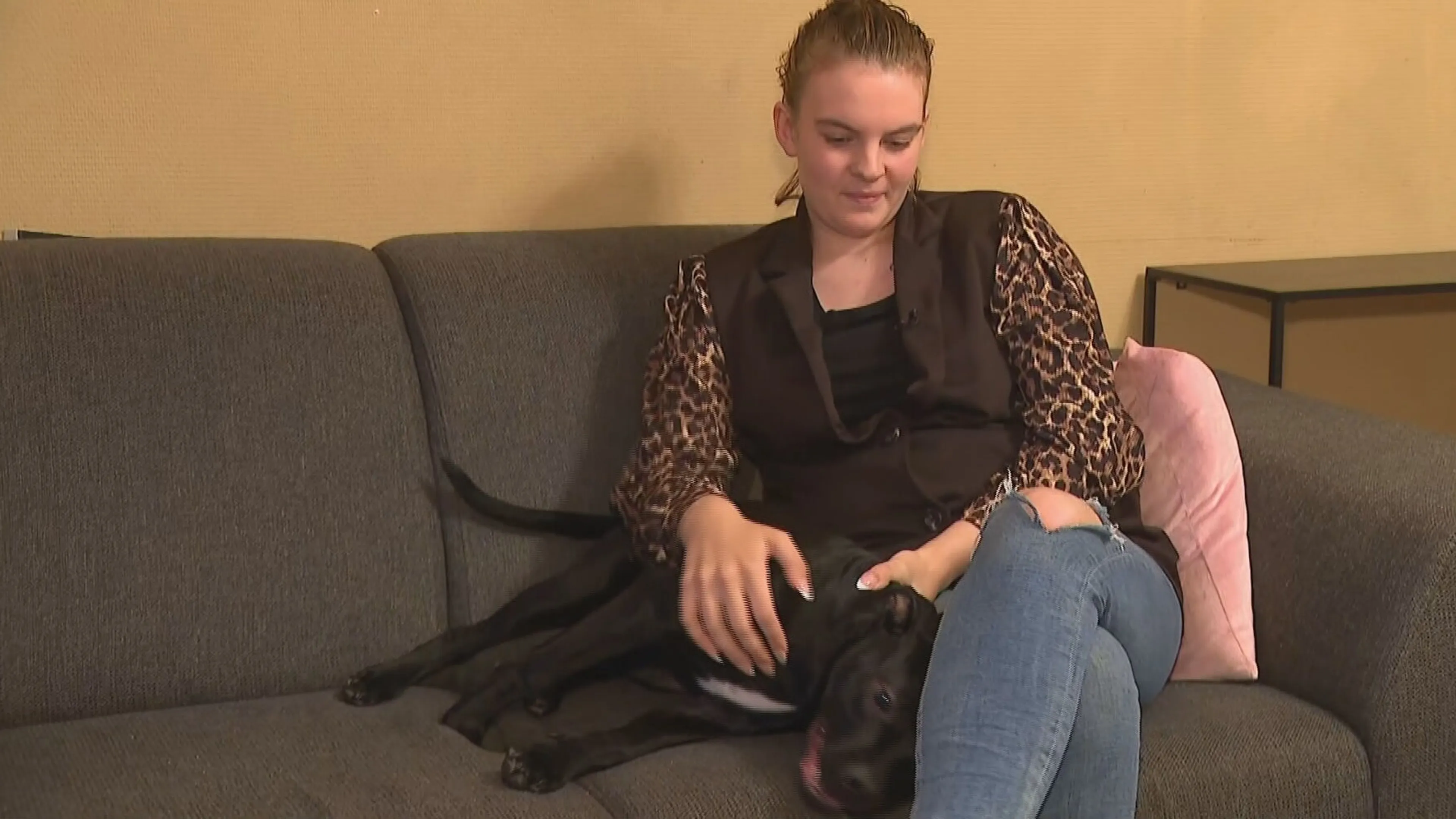 Chantals verdwenen pup Houdini staat ineens op Marktplaats