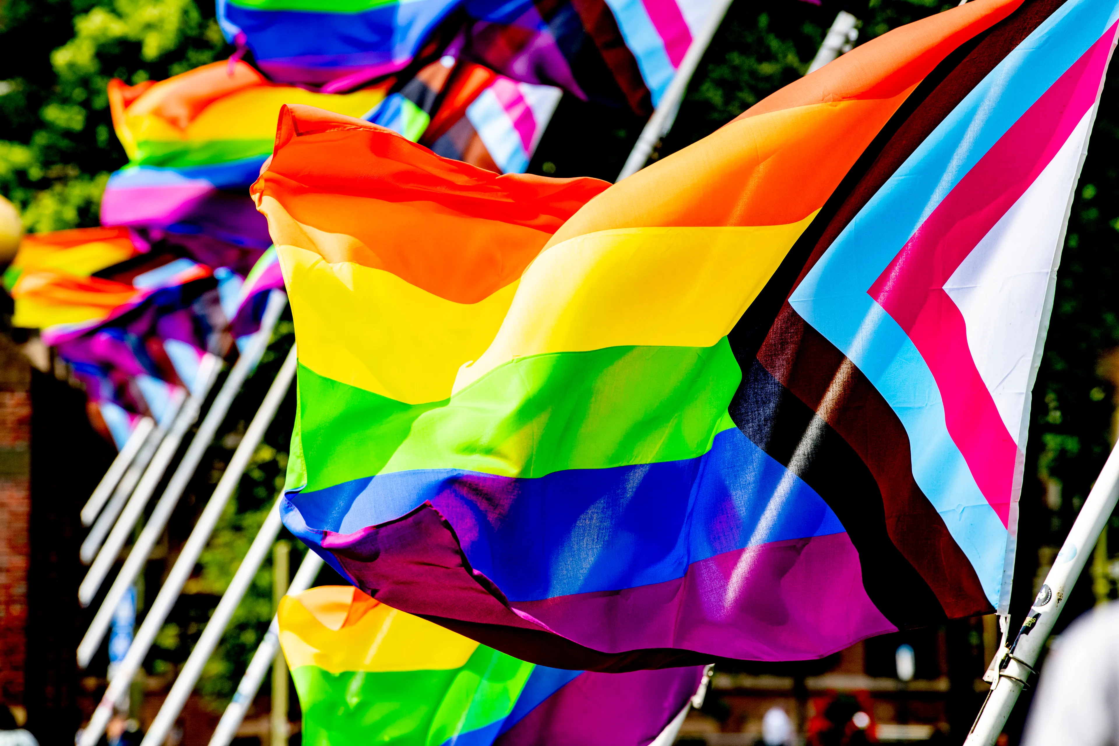 Kamer wil dat kabinet transgenderwet binnen een maand intrekt