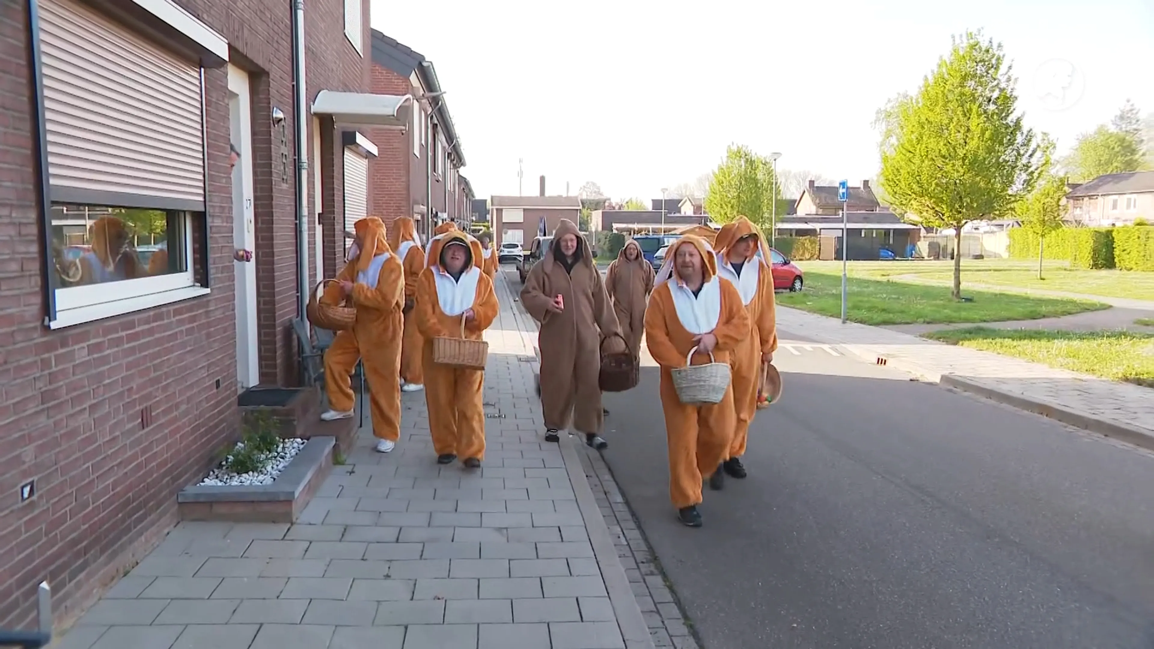 Vrolijk Pasen! In Sittard wordt deze buurt al 50 jaar wakkergemaakt door deze paashazen