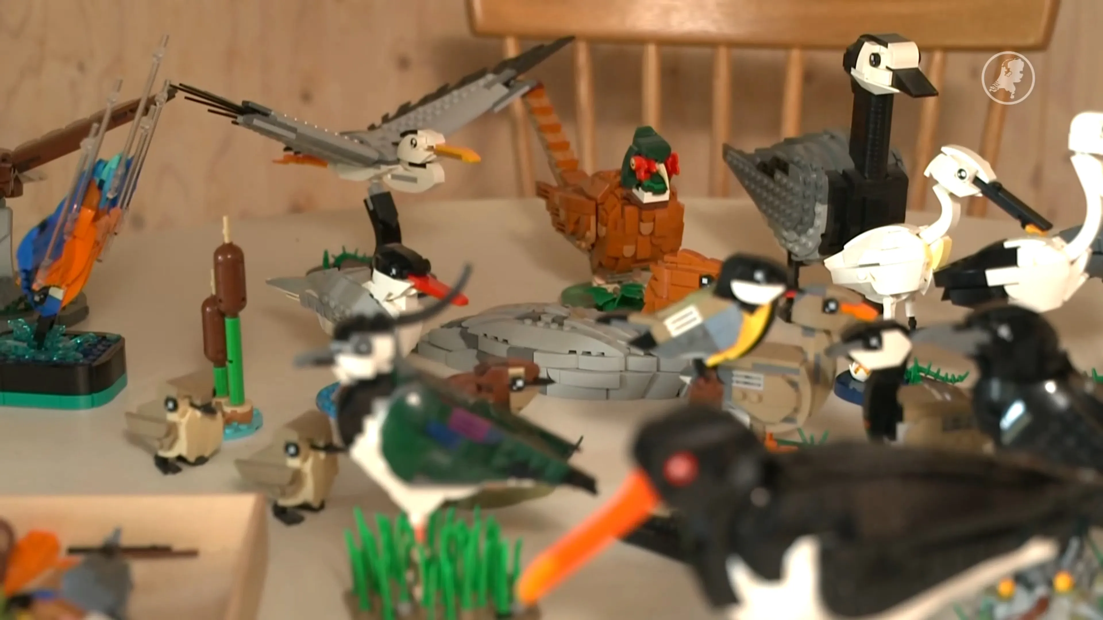 Bram populair op Instagram vanwege bijzondere vogels gemaakt van Lego
