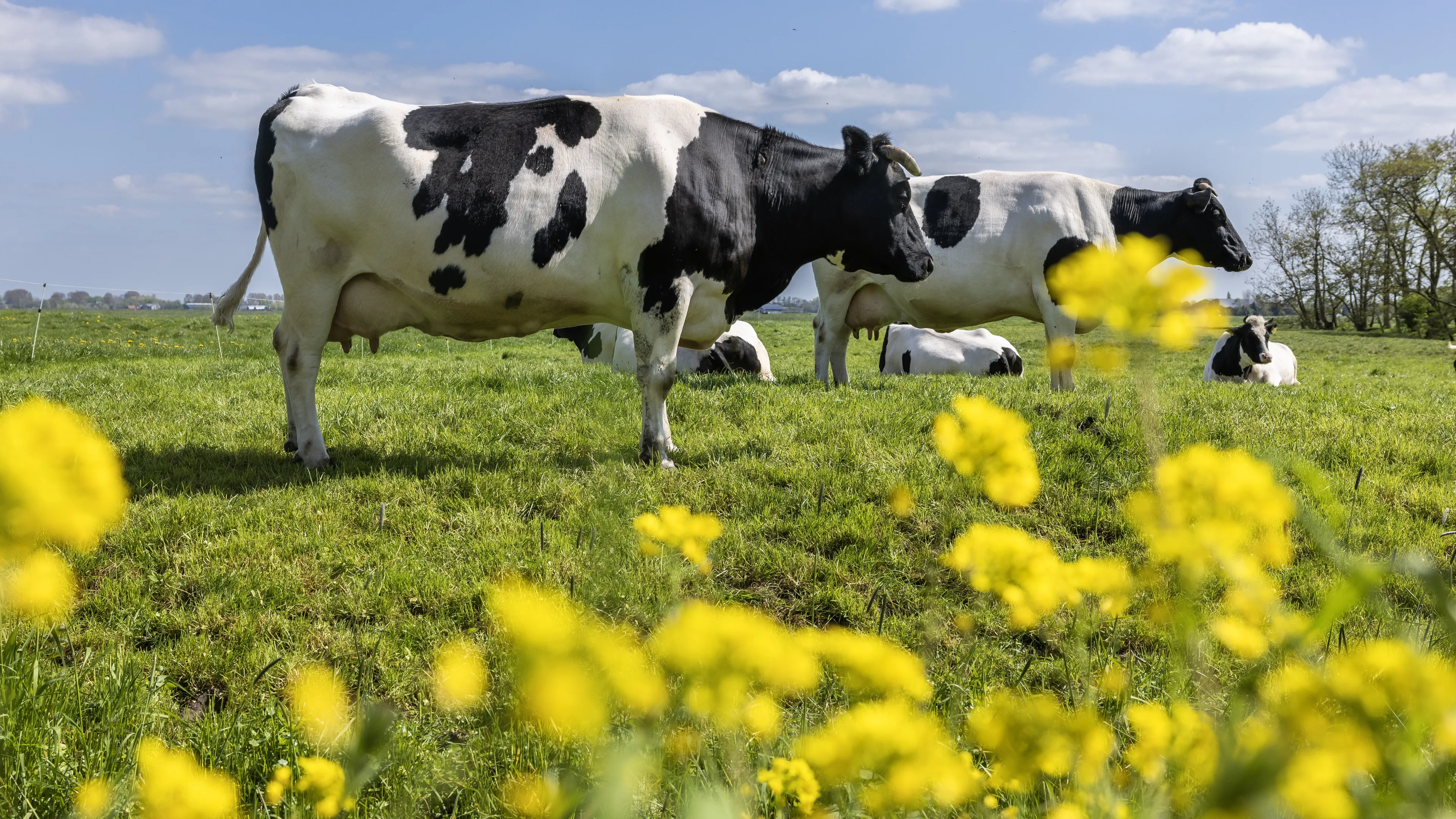 Ruim 9000 boeren lieten berekenen of ze piekbelaster zijn