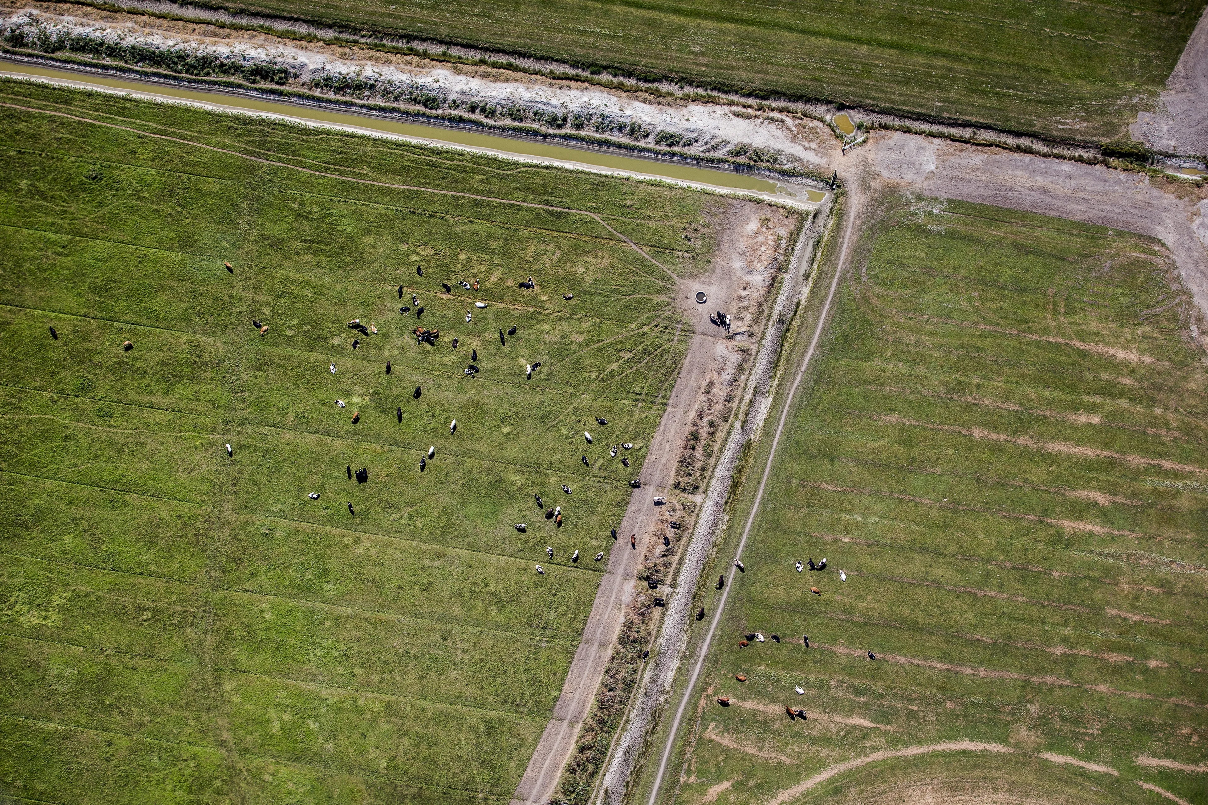 Boeren Friesland vrezen: overheid wil gaan onteigenen voor meer natuur