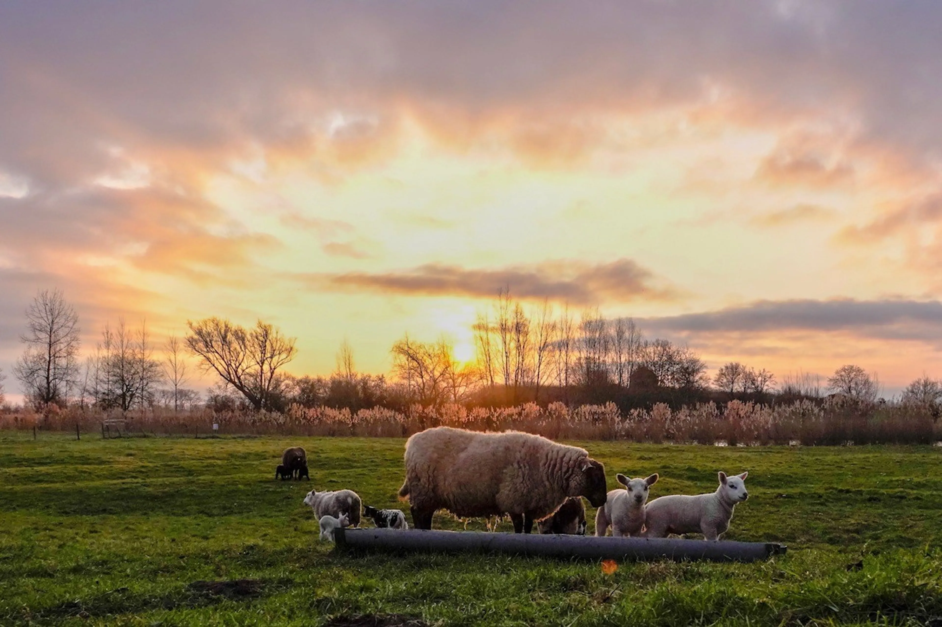 Veel ruimte voor de lentezon, maar wisselvallige week op komst