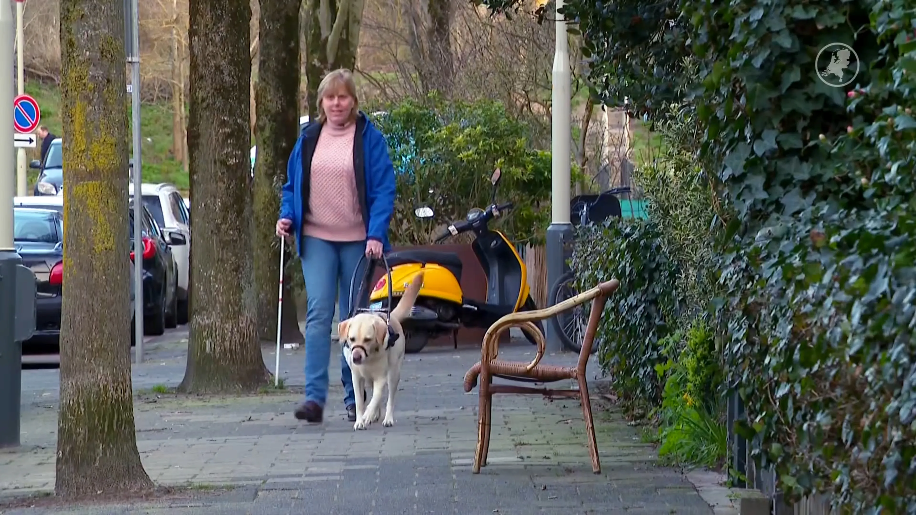Rita en hulphond Sterre geweigerd door taxichauffeur