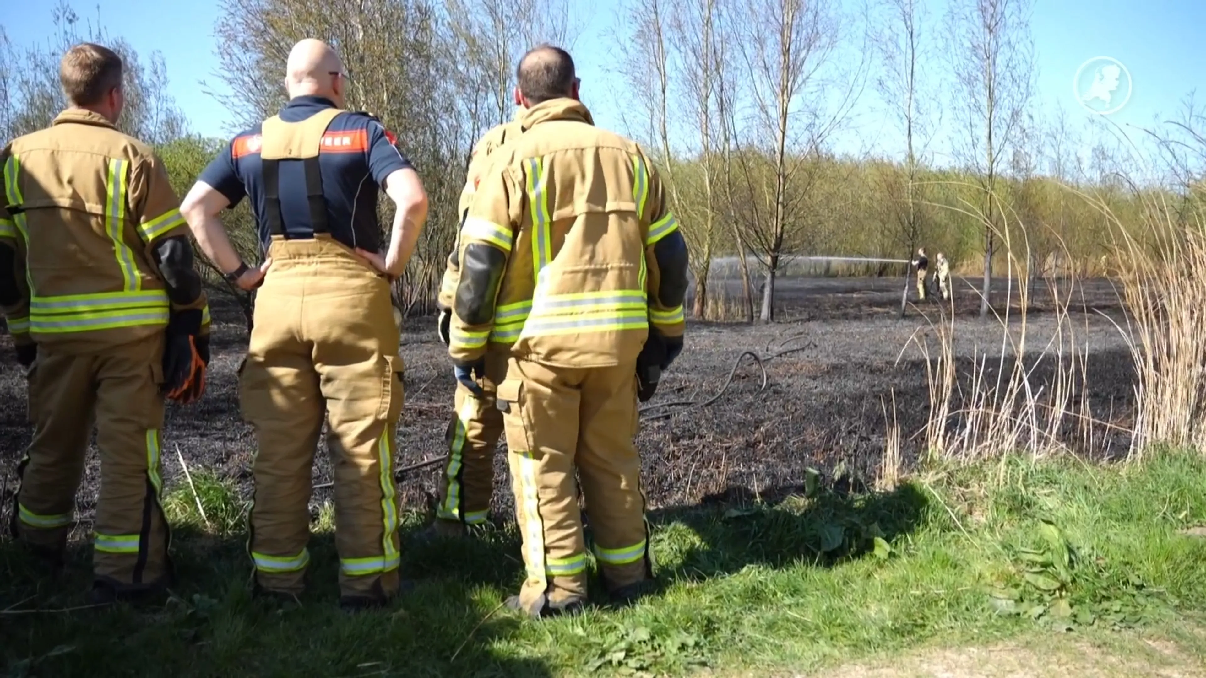 Grote brand in natuurgebied in Ridderkerk, vermoedelijk aangestoken