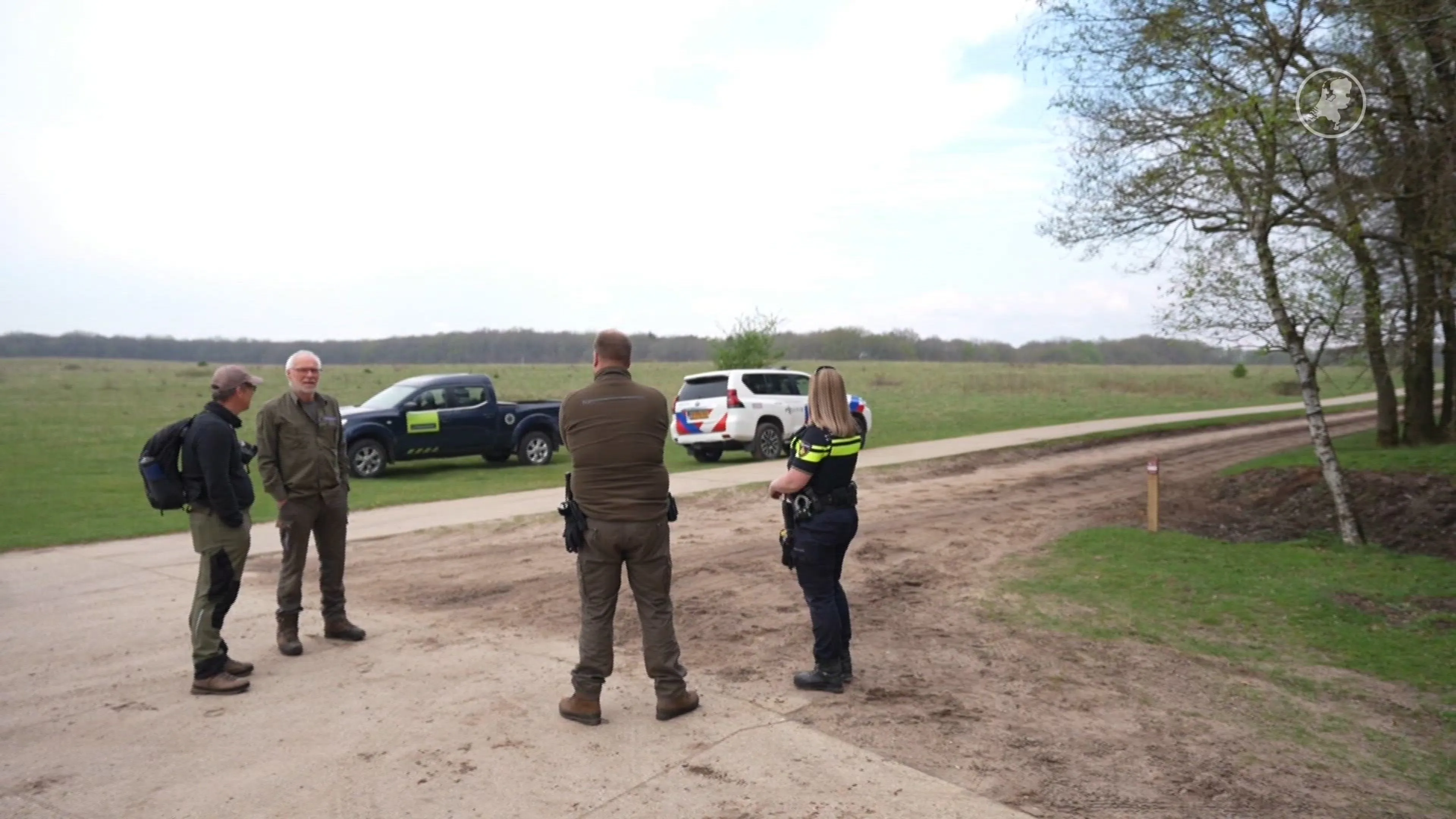 Twee naar ziekenhuis na aanval van koe op Veluwse heide