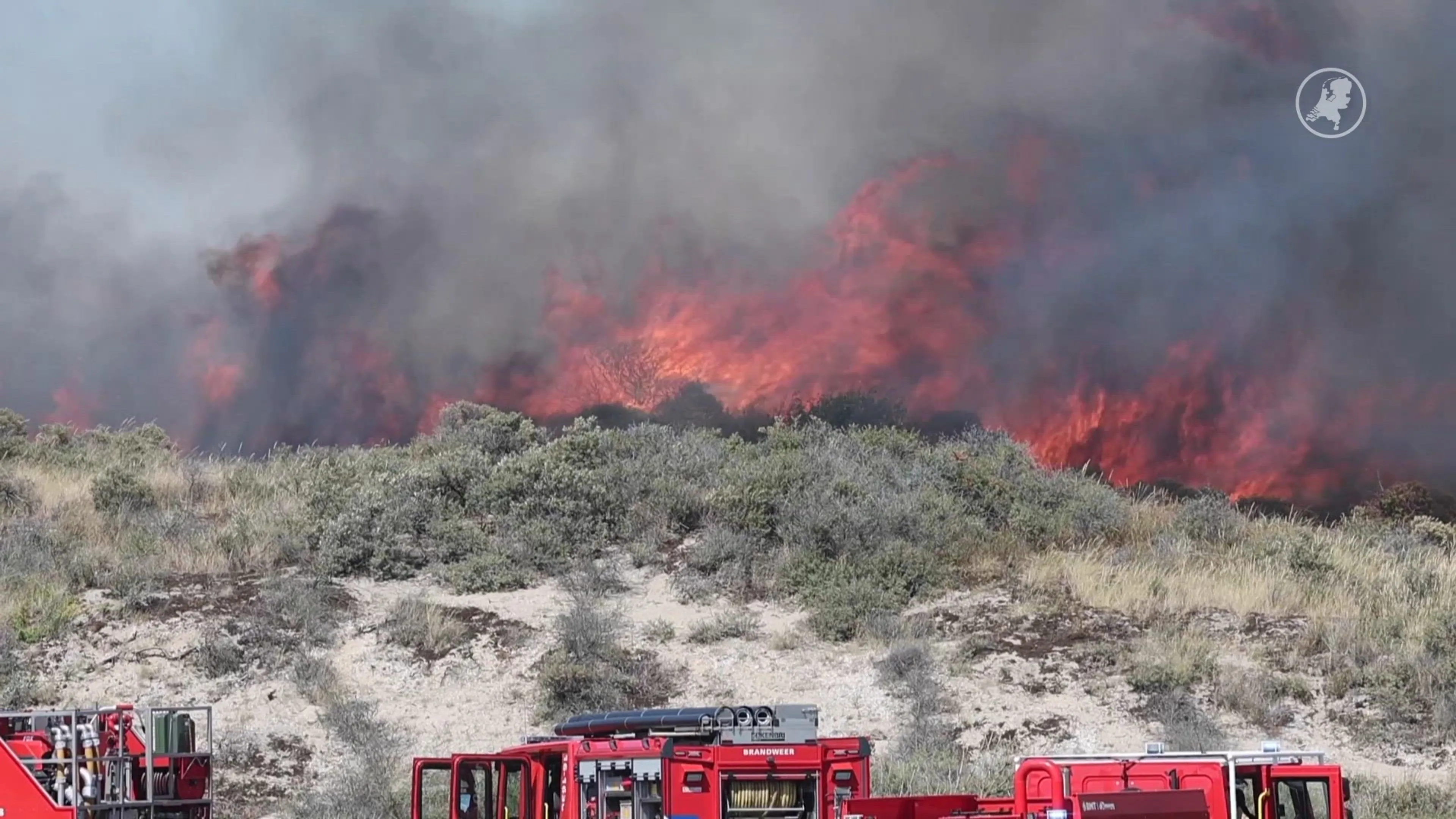 Grote duinbrand bij Wassenaar: hoge vlammen en rook van ver te zien