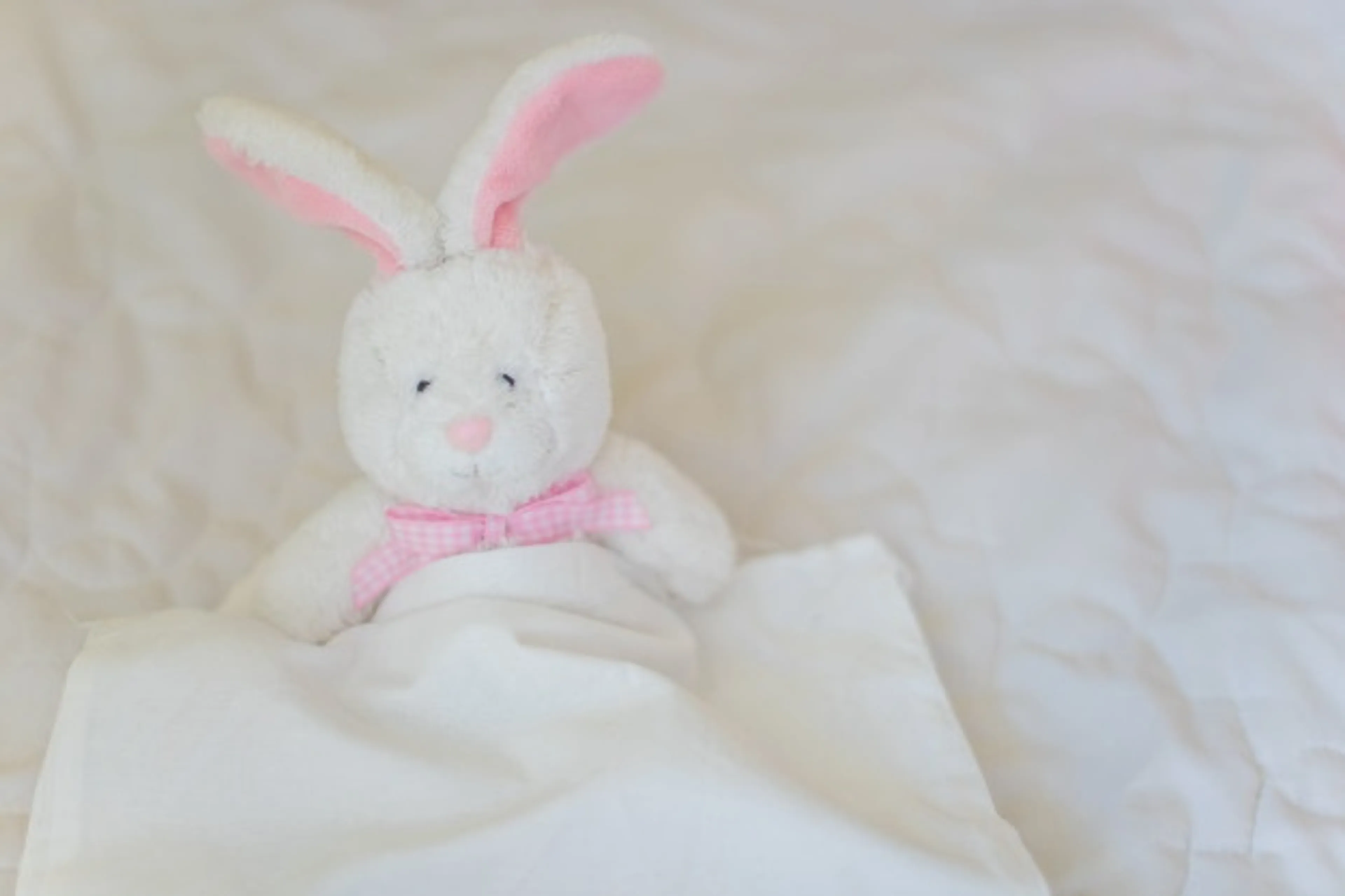 Man (51) krijgt taakstraf voor geven knuffel met foto van penis aan meisje (4)