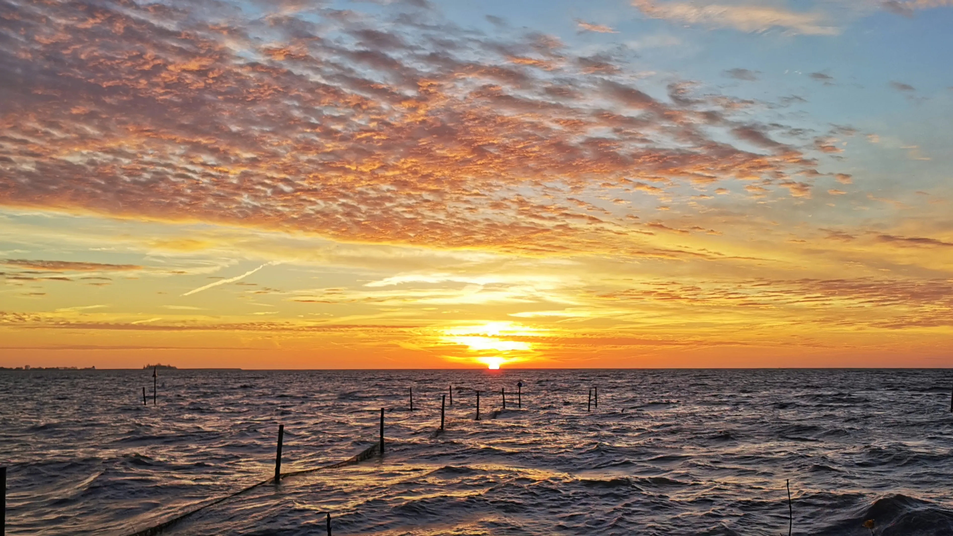 Stralend lenteweer: steeds hogere temperaturen, maar koude nachten